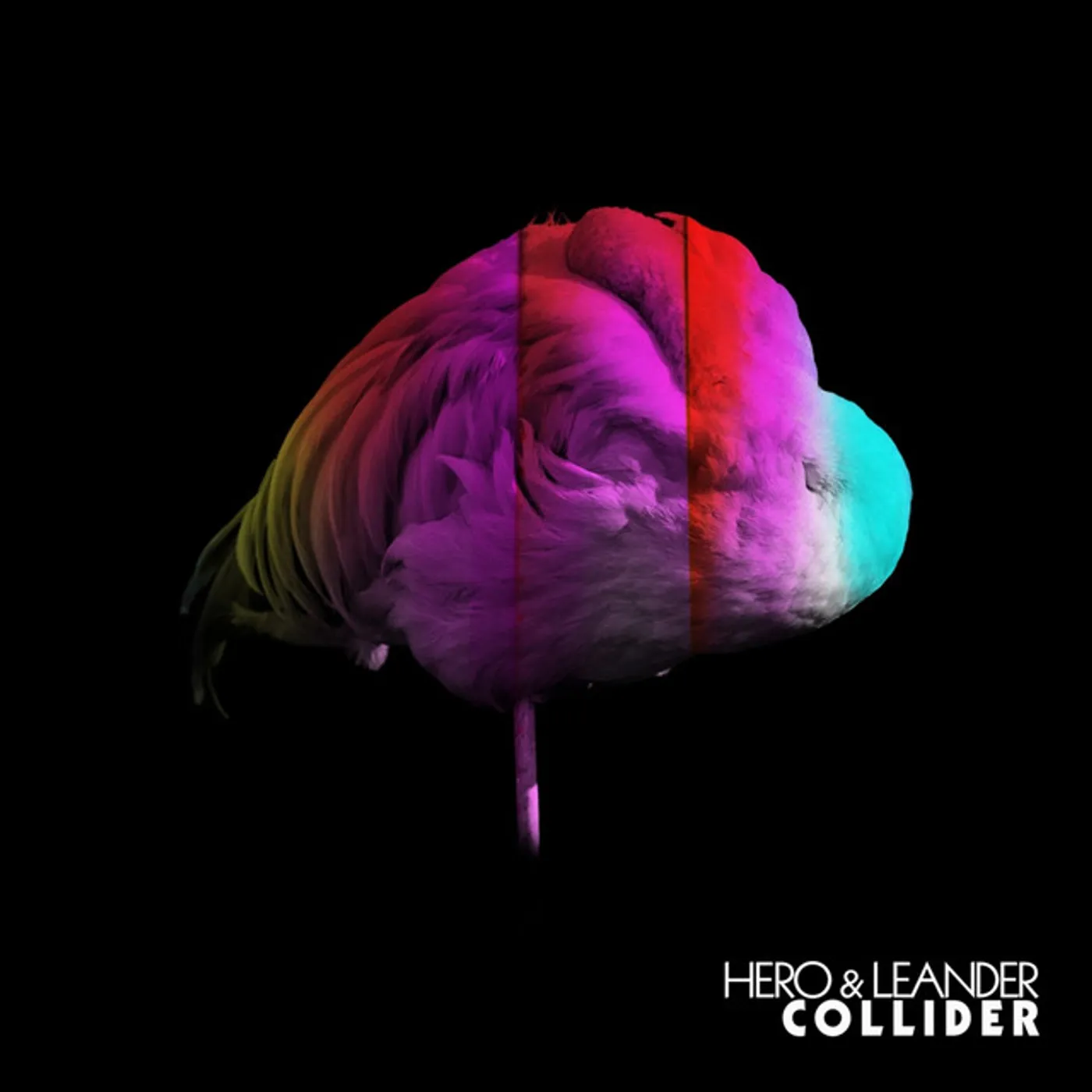 Hero & Leander Collider Vinyl Record