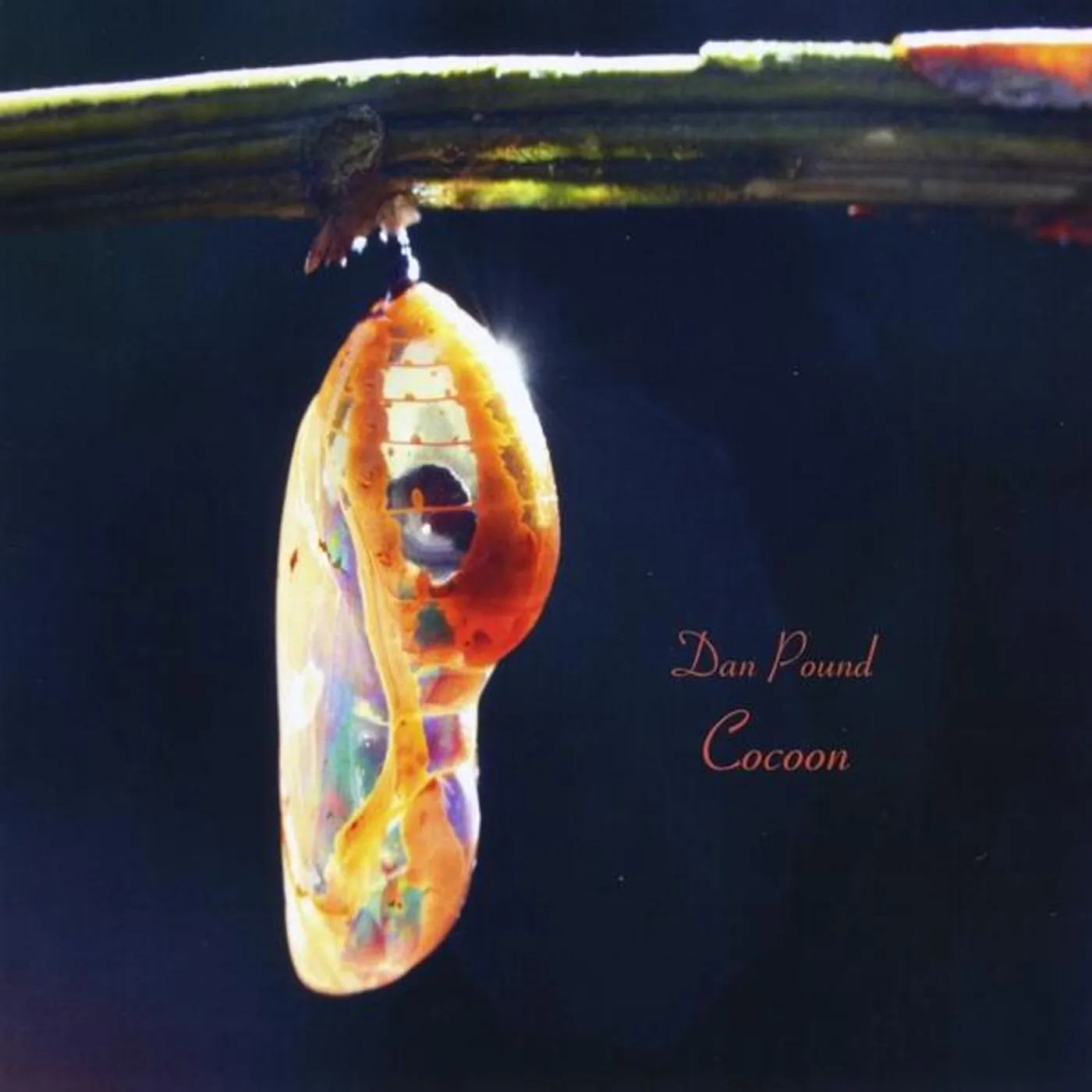 Dan Pound COCOON CD