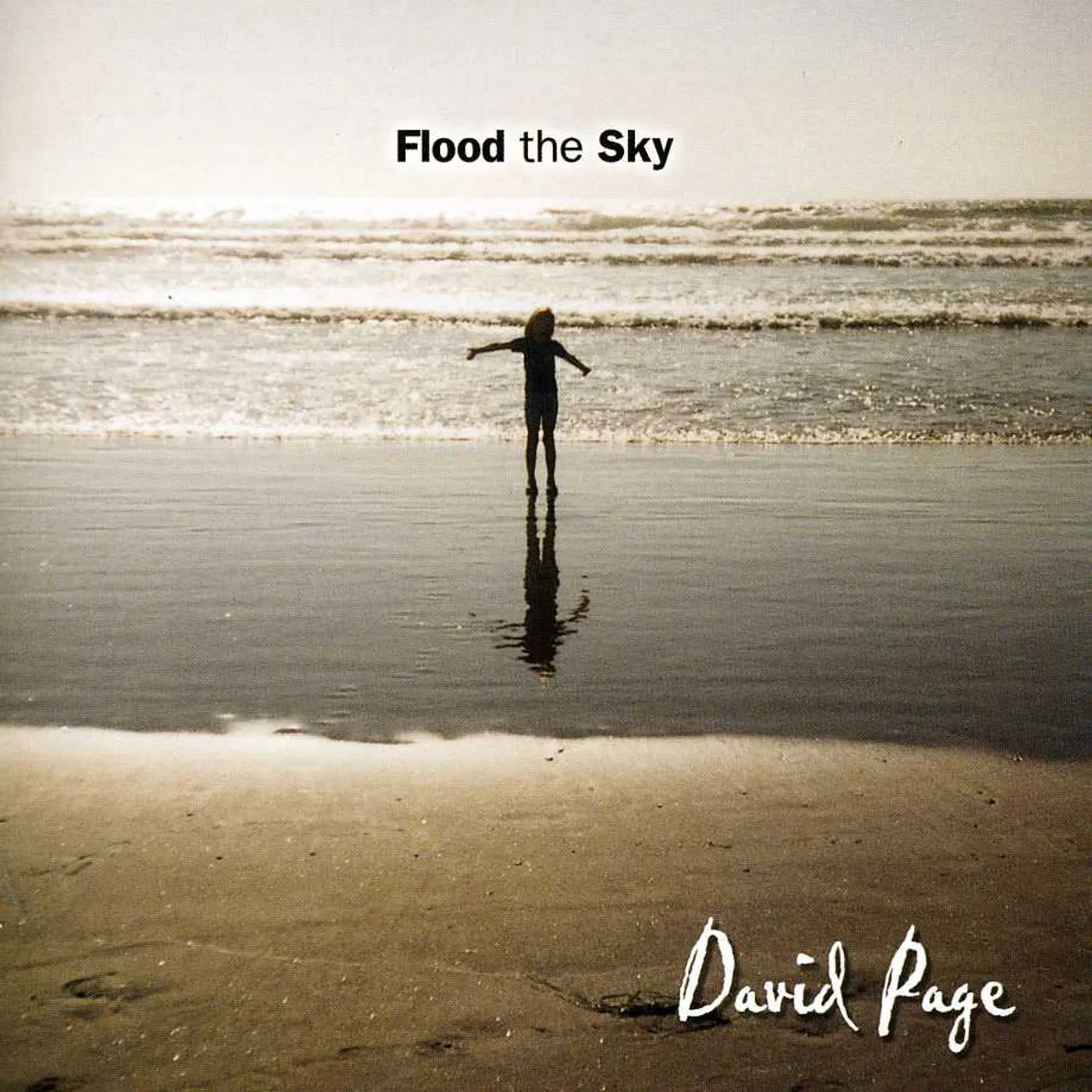 David Page FLOOD THE SKY CD