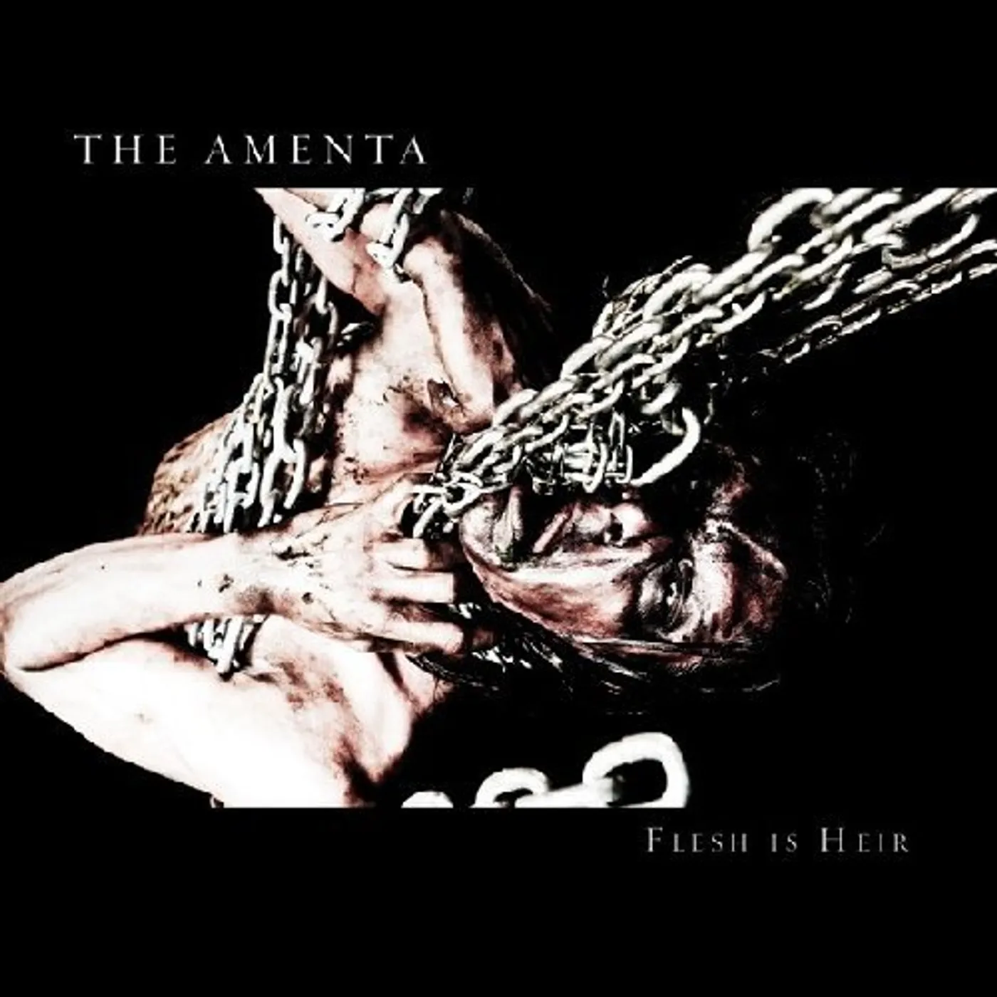 Amenta FLESH IS HEIR CD