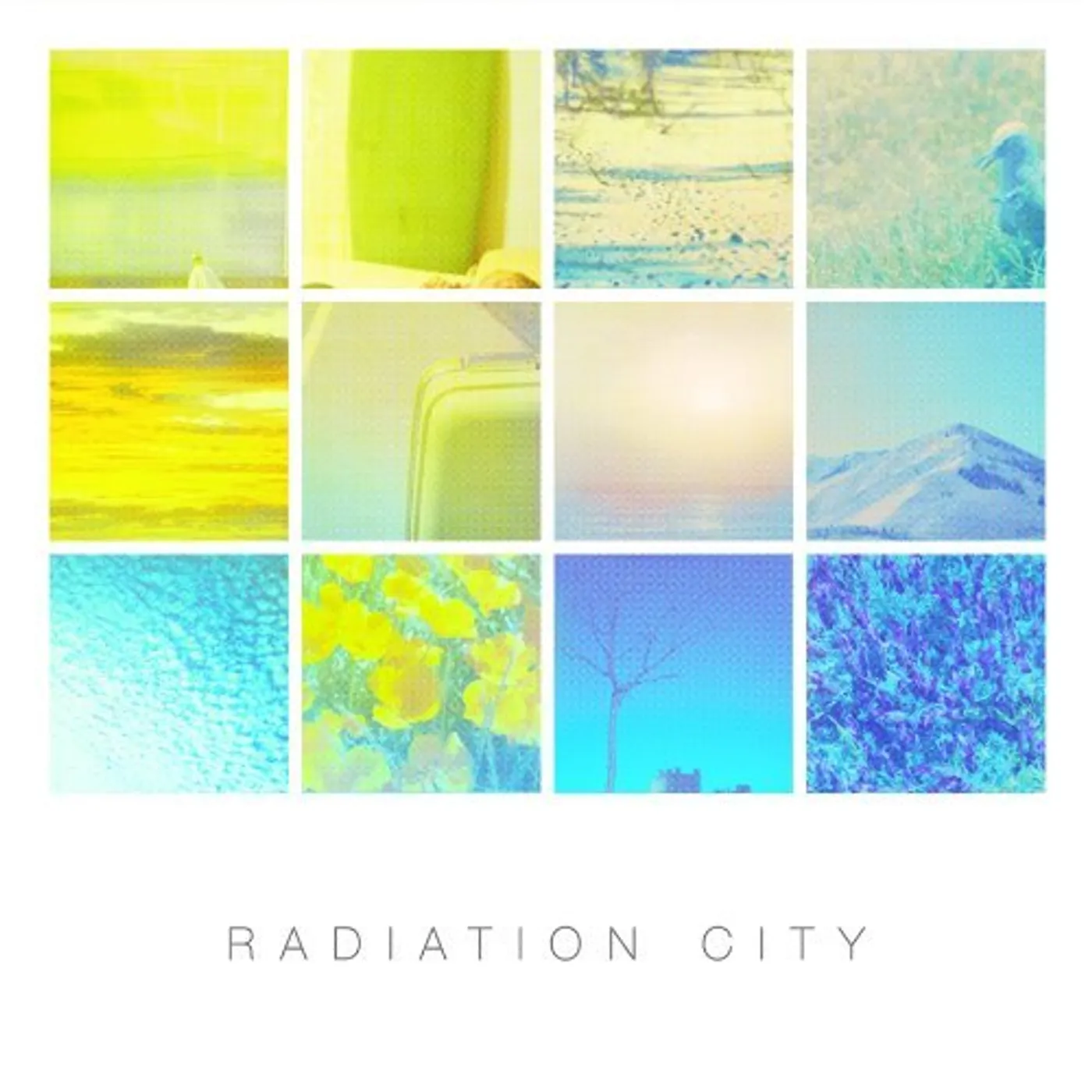 Radiation City ANIMALS IN THE MEDIAN CD