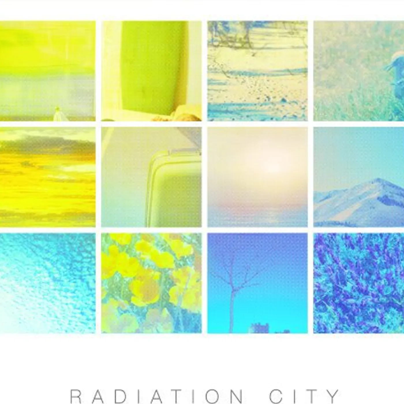 Radiation City Animals In The Median Vinyl Record