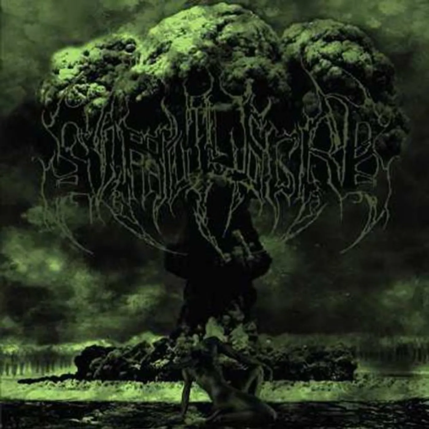 Simulacro FALL OF THE LAST IDOL CD