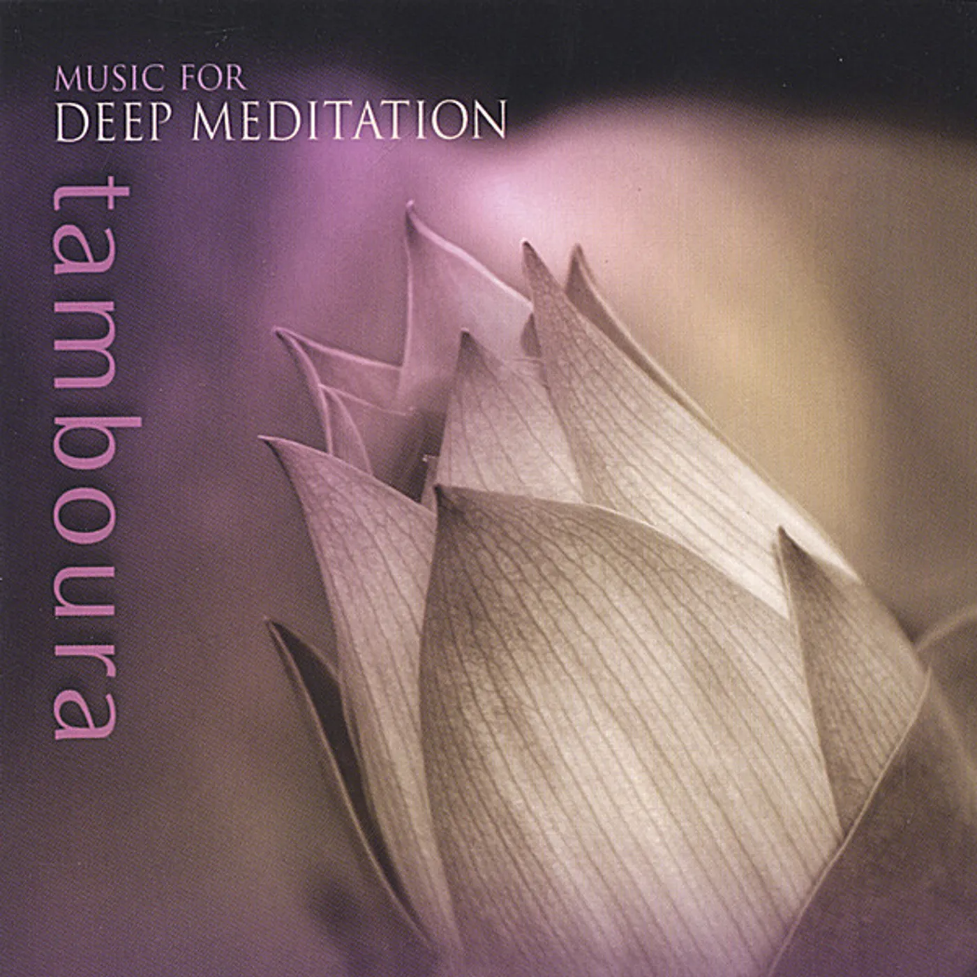 Music for Deep Meditation TAMBOURA CD