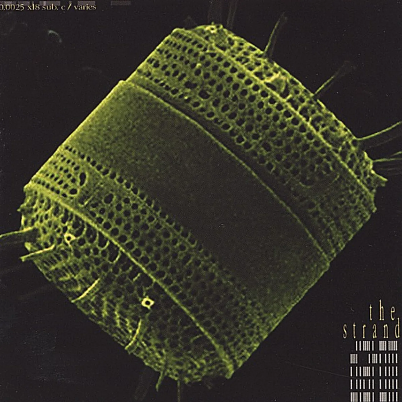 Strand DIATOM CD