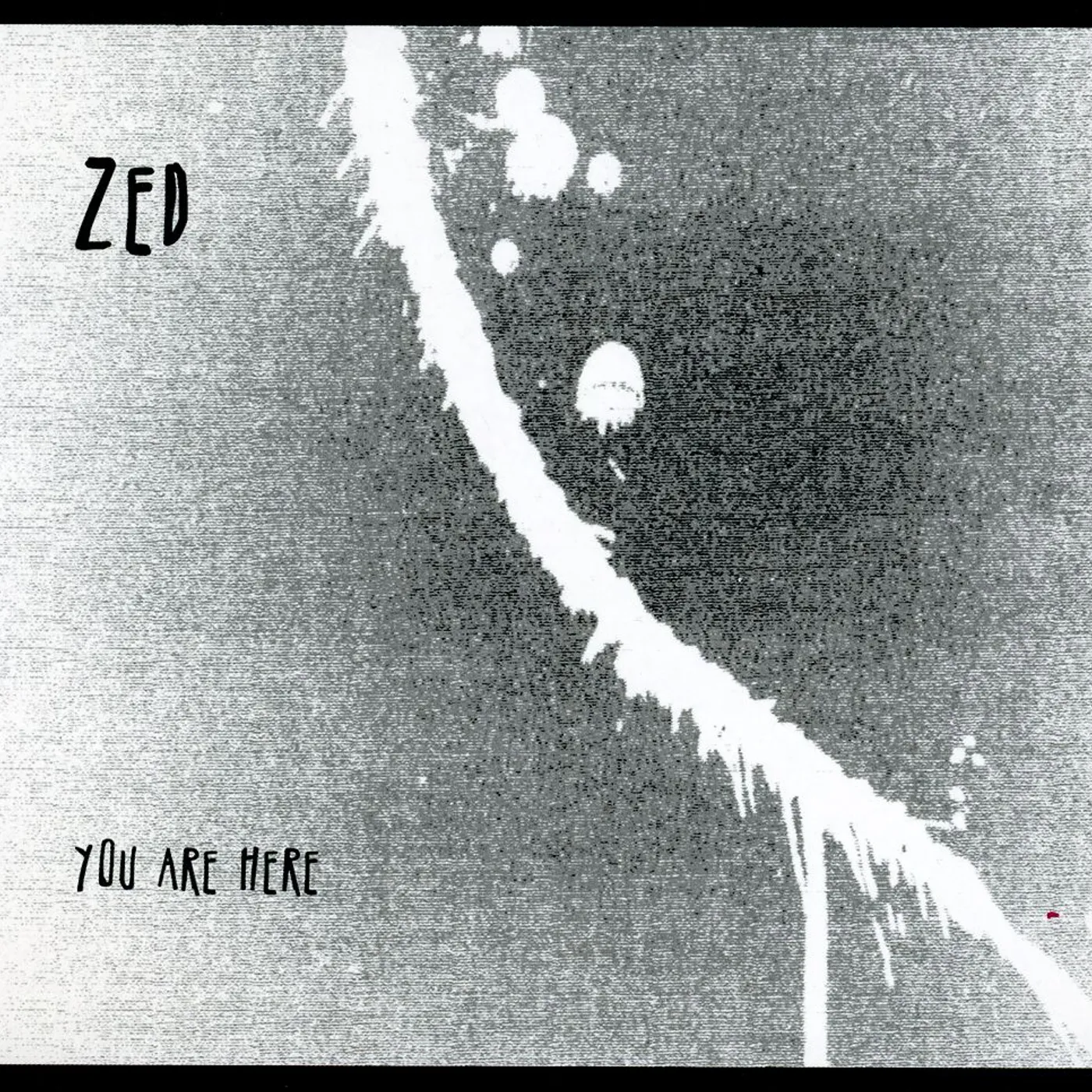 Zed YOU ARE HERE CD