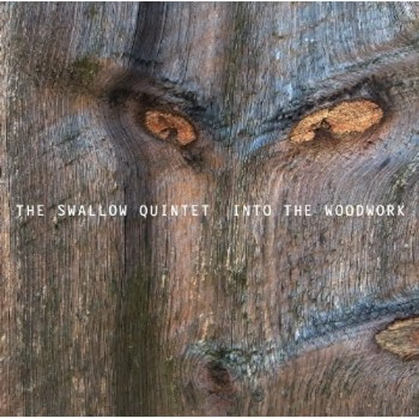 Steve Swallow IN THE WOODWORK CD