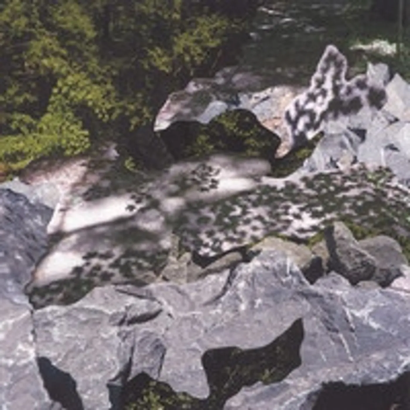 Geoff Mullen Filtered Water Vinyl Record
