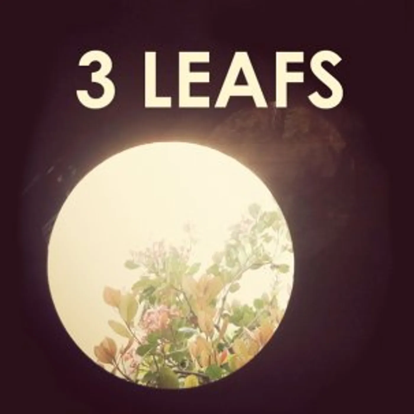 3 LEAFS Vinyl Record