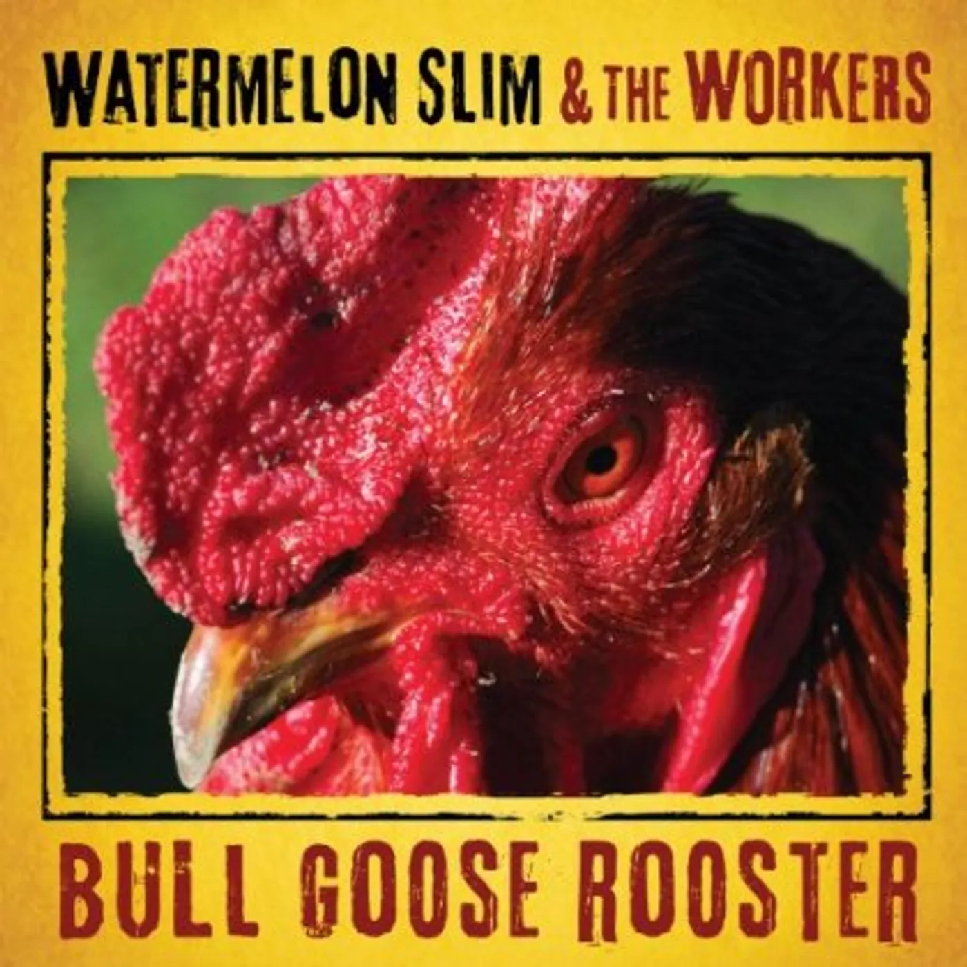 Watermelon Slim & The Workers BULL GOOSE ROOSTER CD