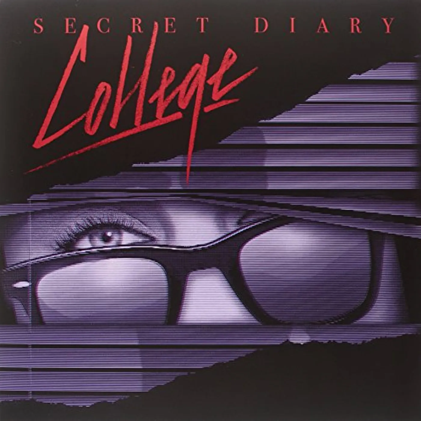 College Secret Diary Vinyl Record
