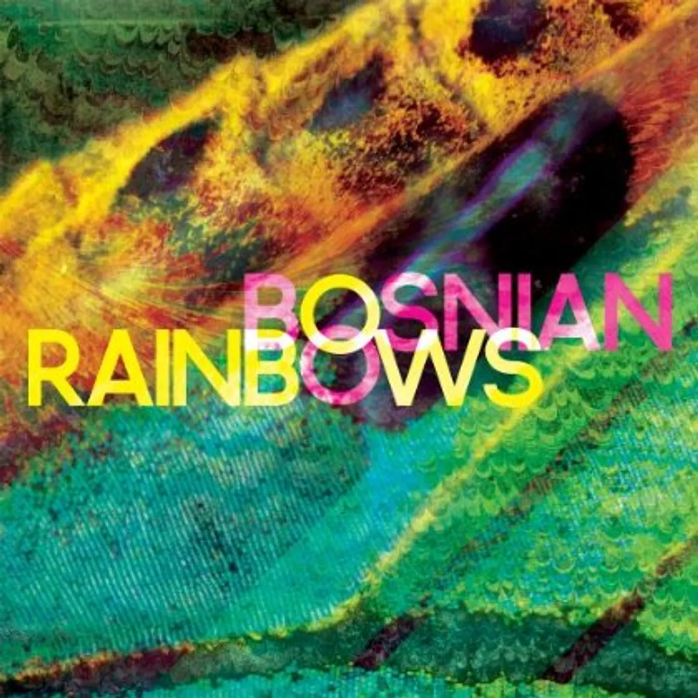 BOSNIAN RAINBOWS CD