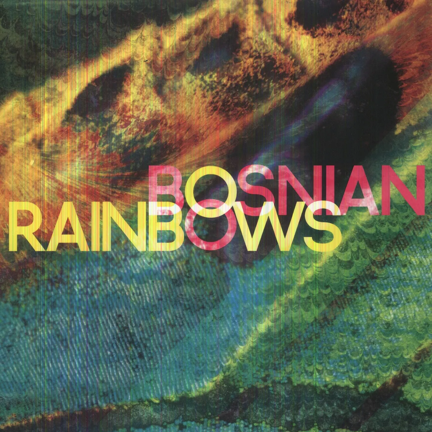 Bosnian Rainbows Vinyl Record