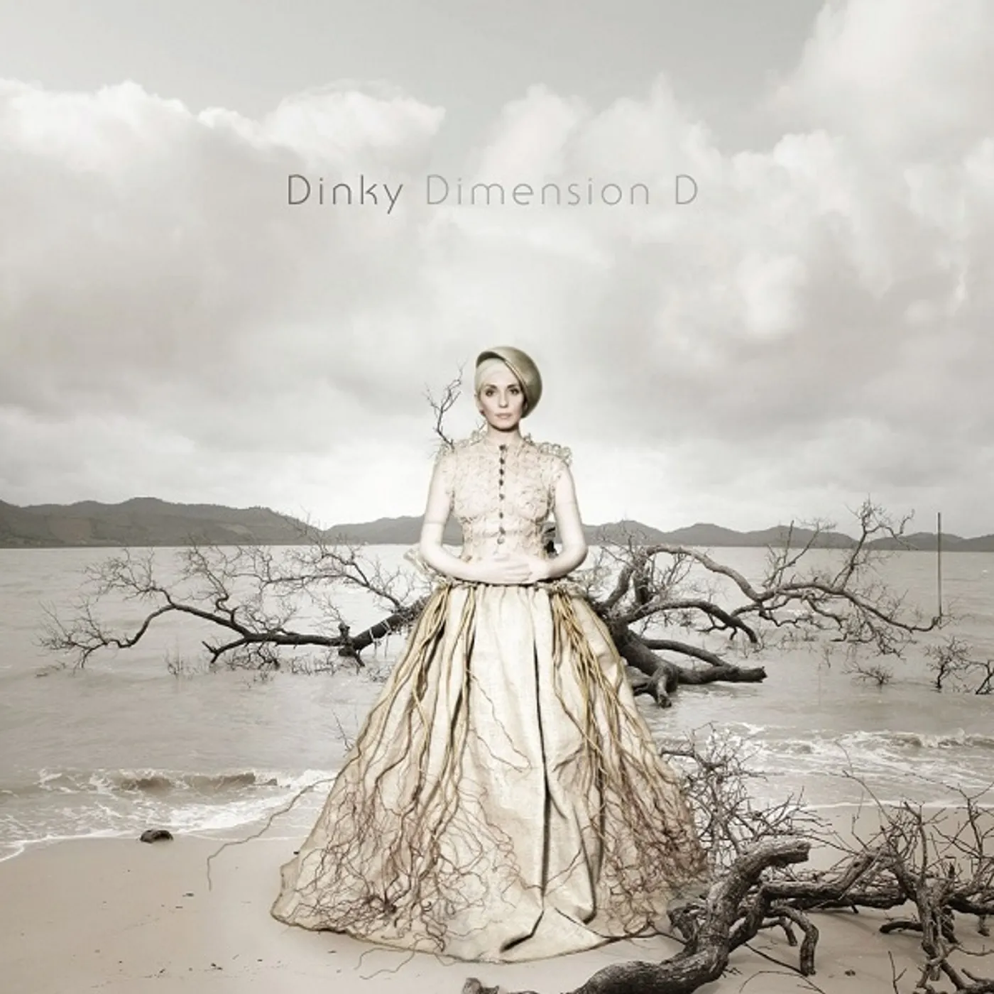 Dinky Dimension D Vinyl Record