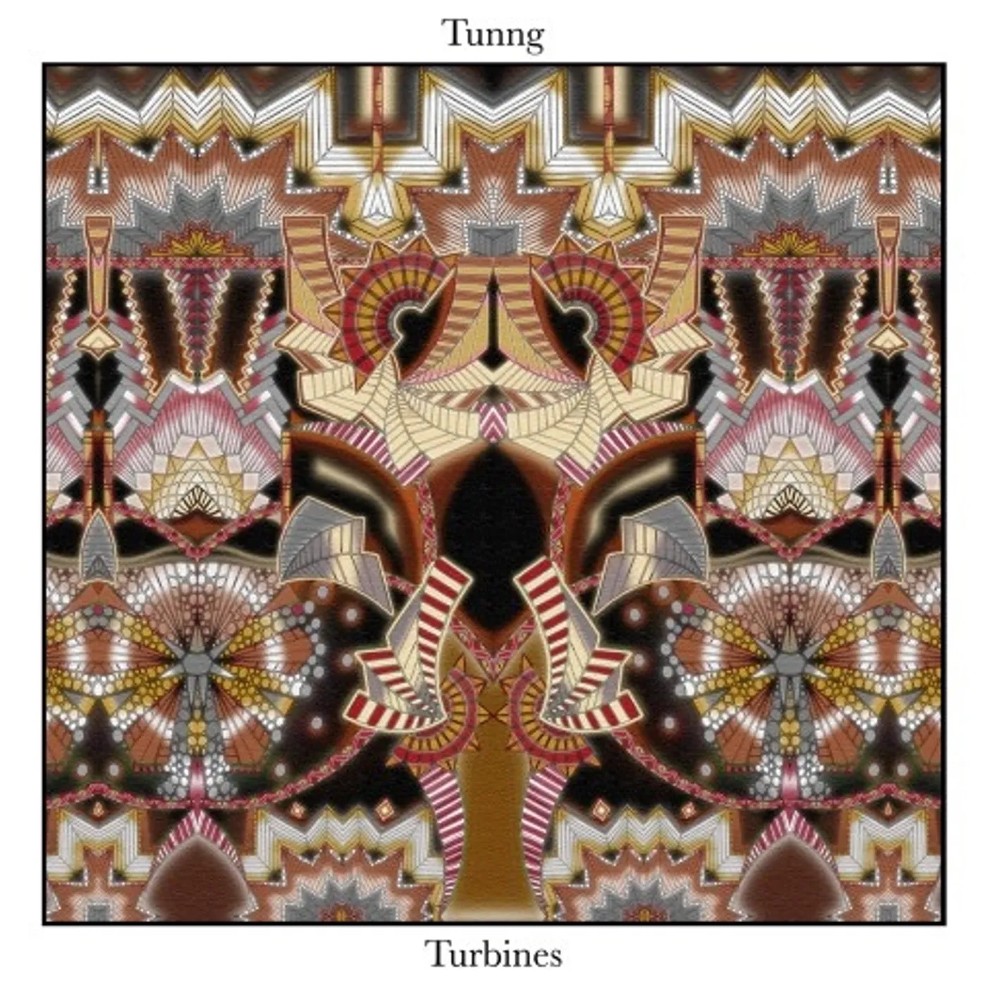 Tunng Turbines Vinyl Record