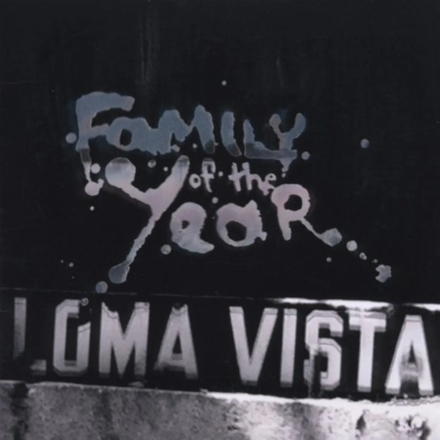 Family of the Year Loma Vista Vinyl Record