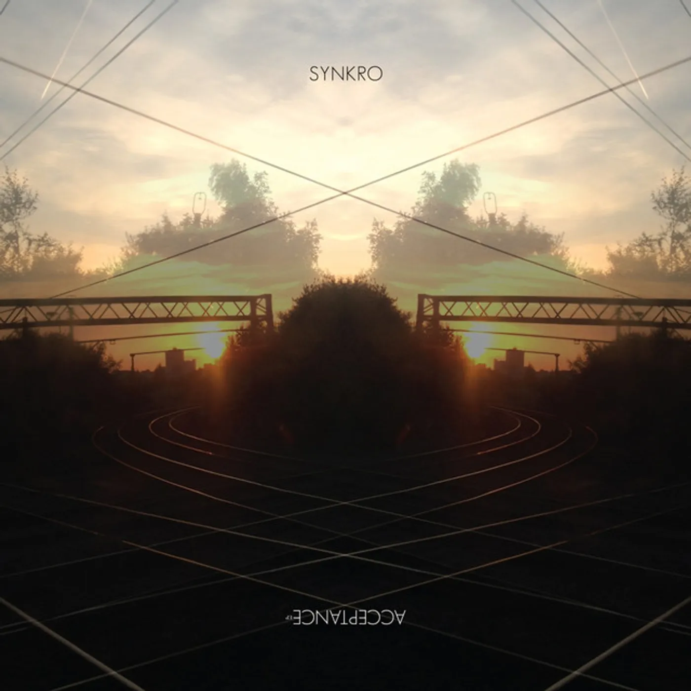 Synkro Acceptance Vinyl Record