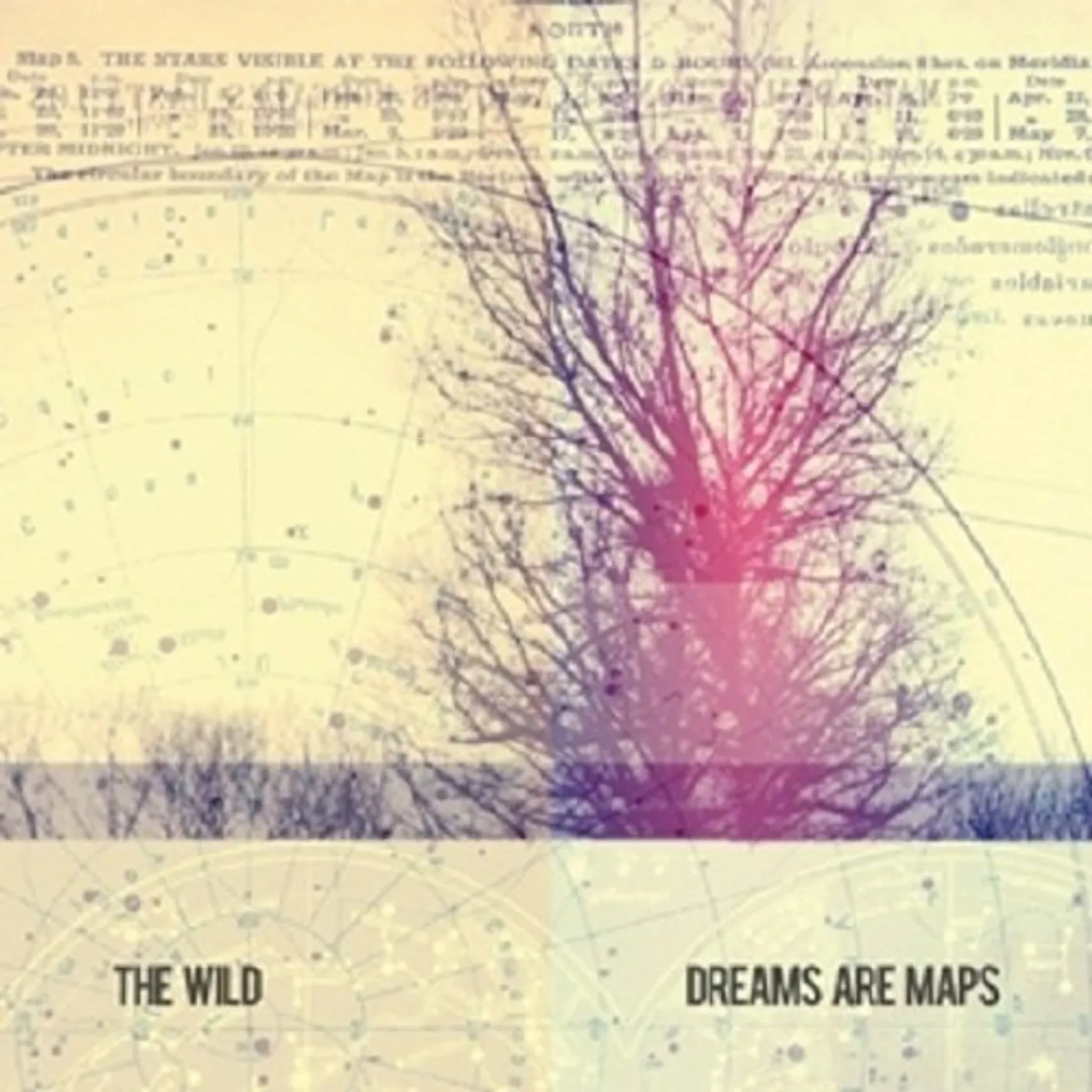 The Wild Dreams Are Maps Vinyl Record