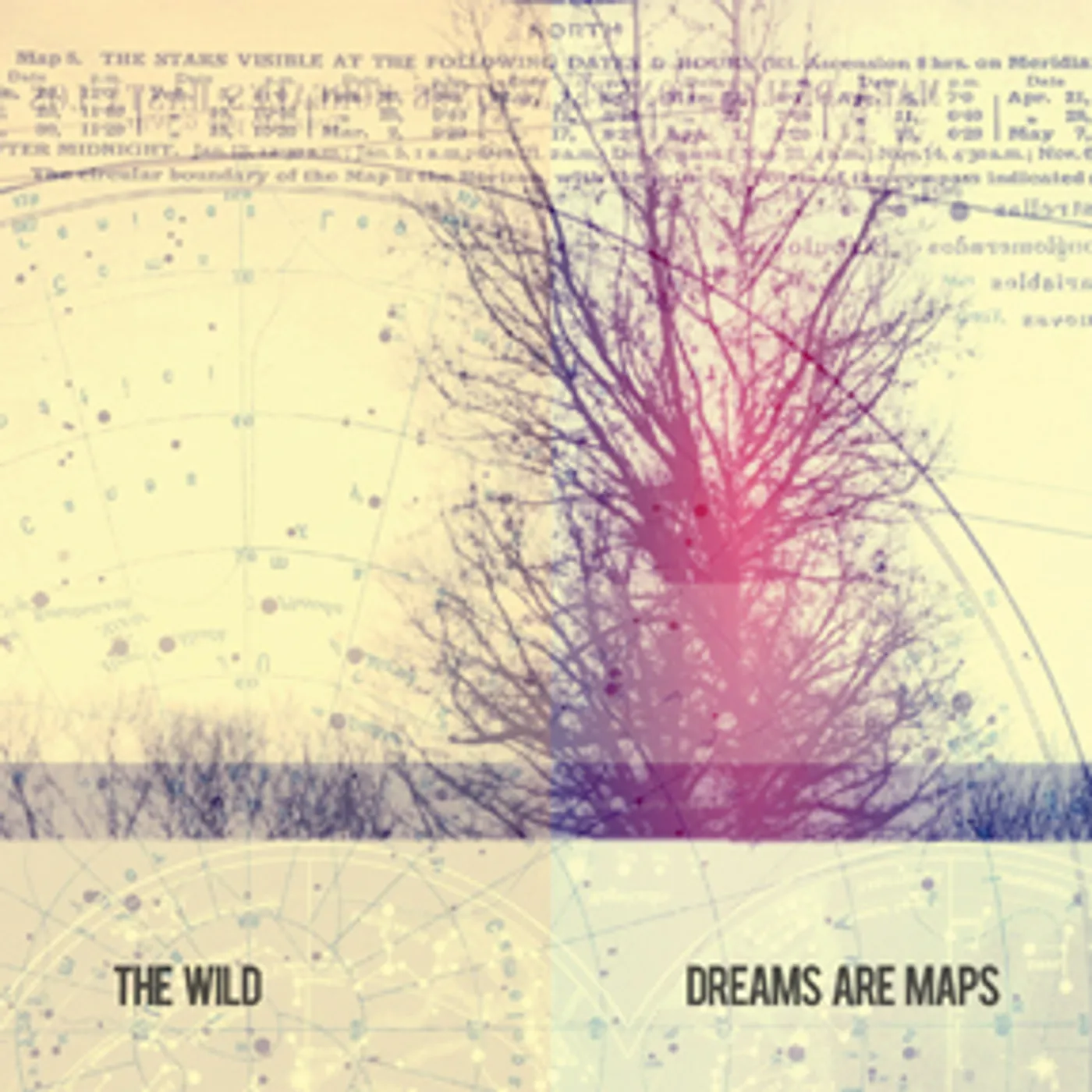 The Wild DREAMS ARE MAPS CD