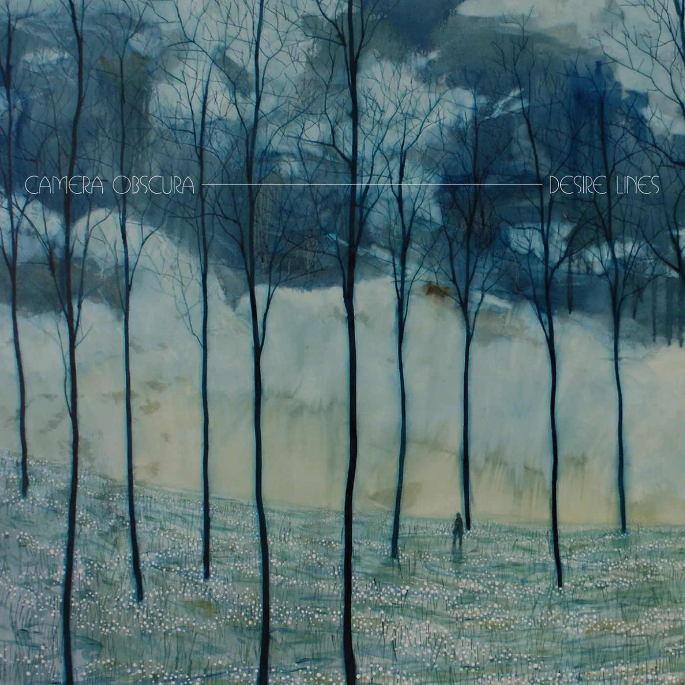 Camera Obscura DESIRE LINES CD