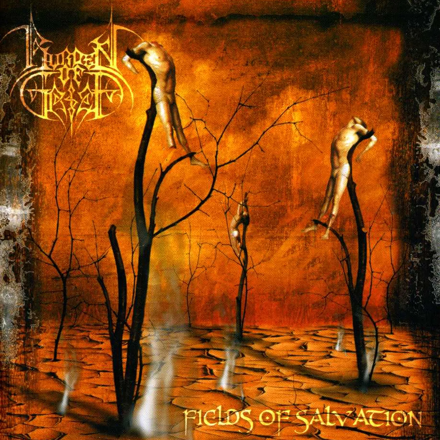 Burden Of Grief FIELDS OF SALVATION CD