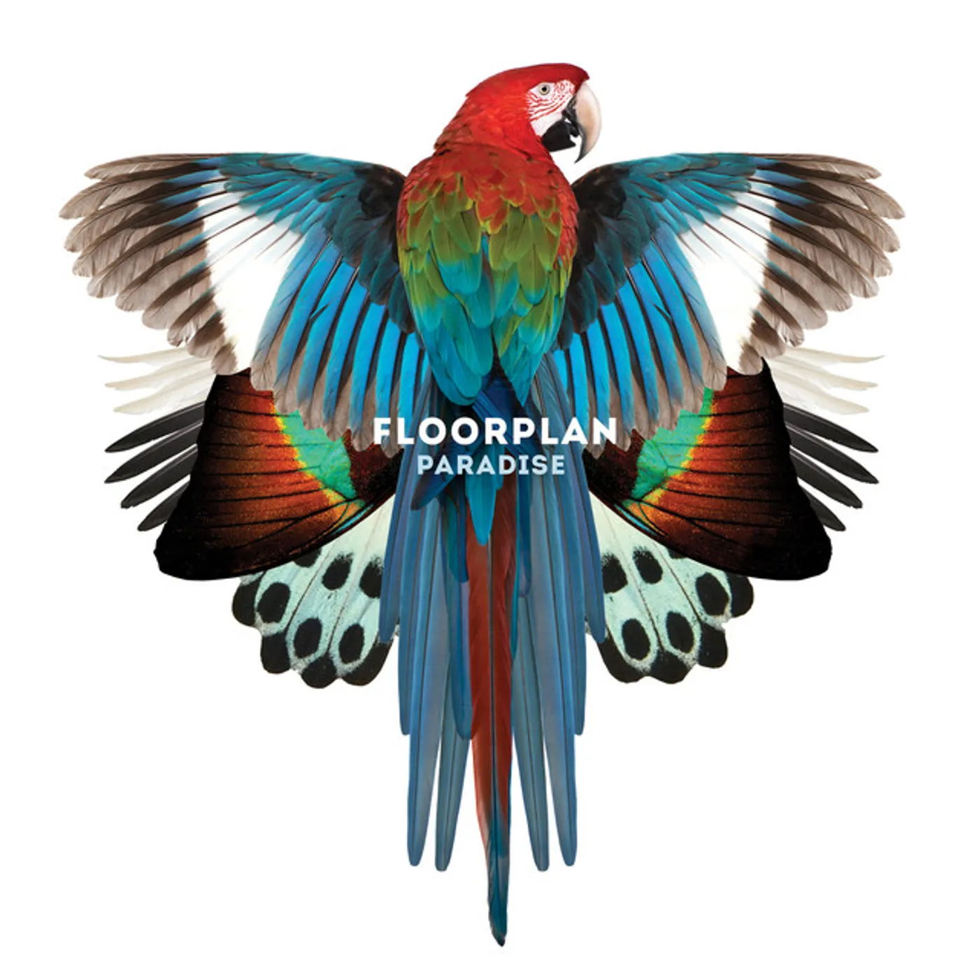 Floorplan Paradise Vinyl Record