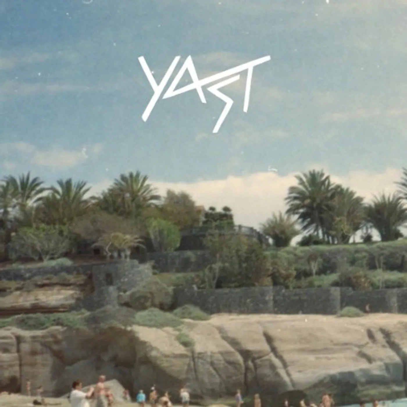 YAST Vinyl Record