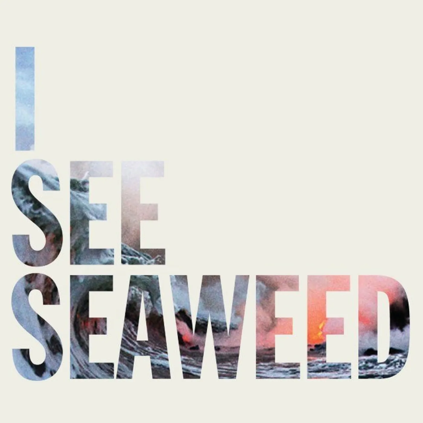 The Drones  I SEE SEAWEED (Vinyl)