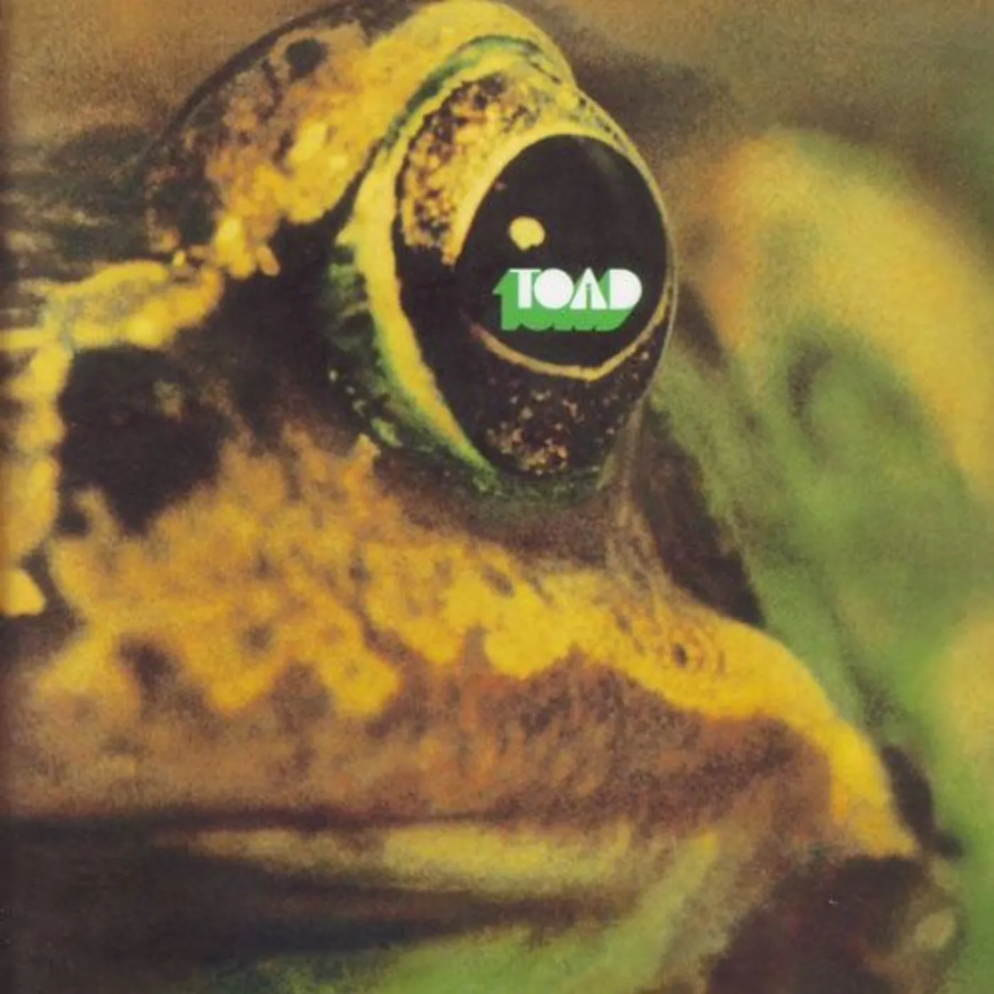 Toad Vinyl Record