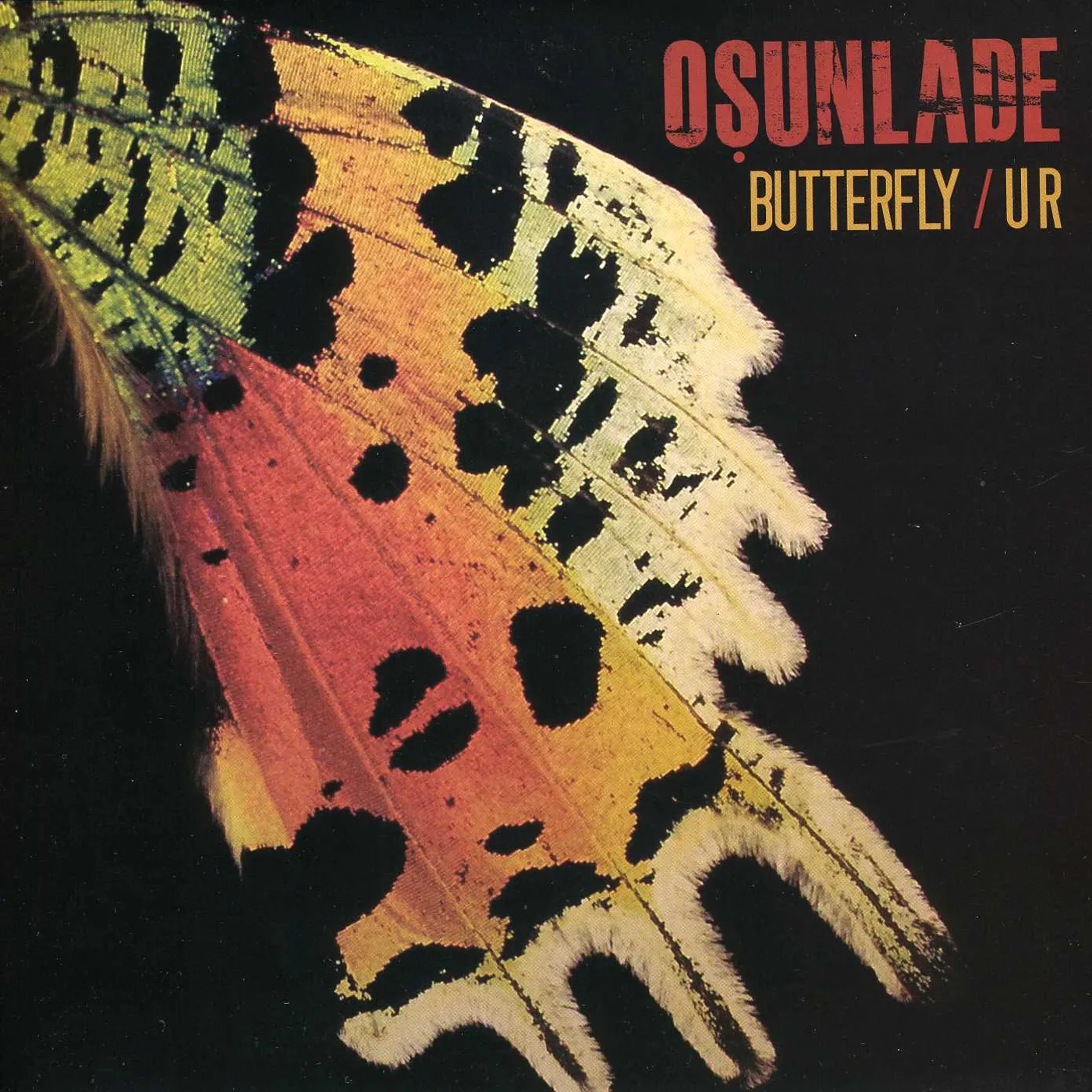 Osunlade BUTTERFLY / UR Vinyl Record