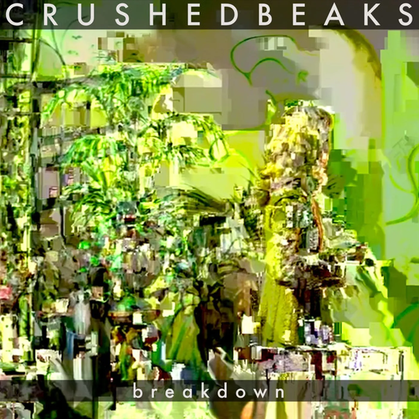 Crushed Beaks Breakdown Vinyl Record