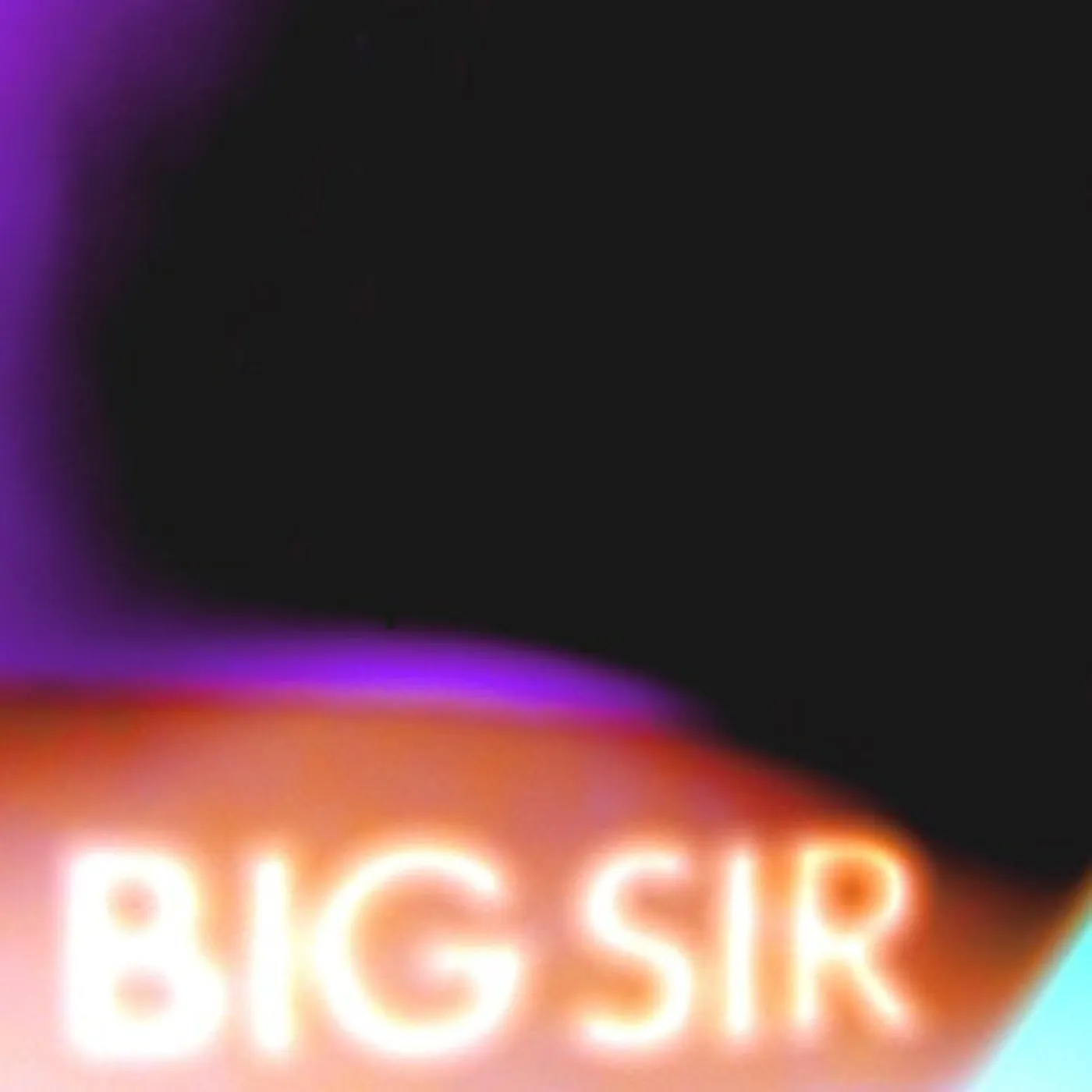 Big Sir Before Gardens After Gardens Vinyl Record
