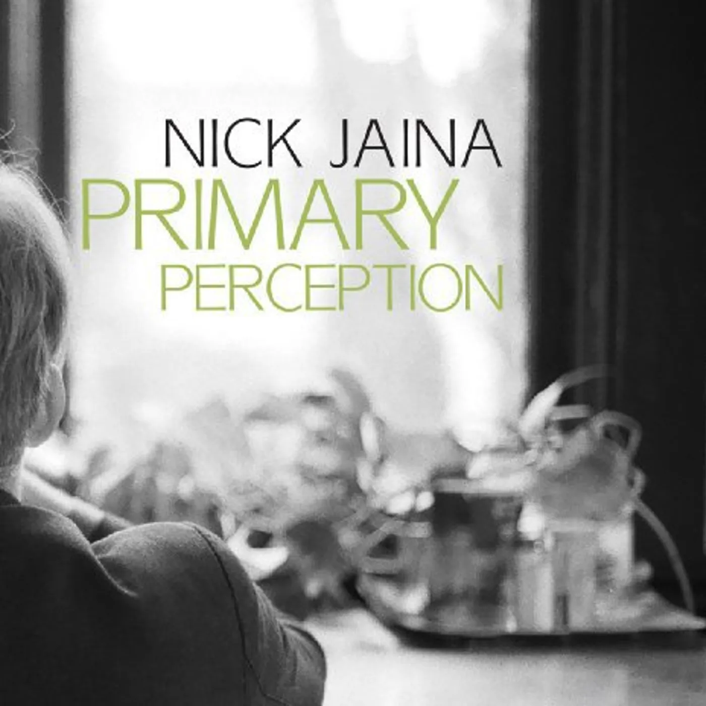Nick Jaina Primary Perception Vinyl Record