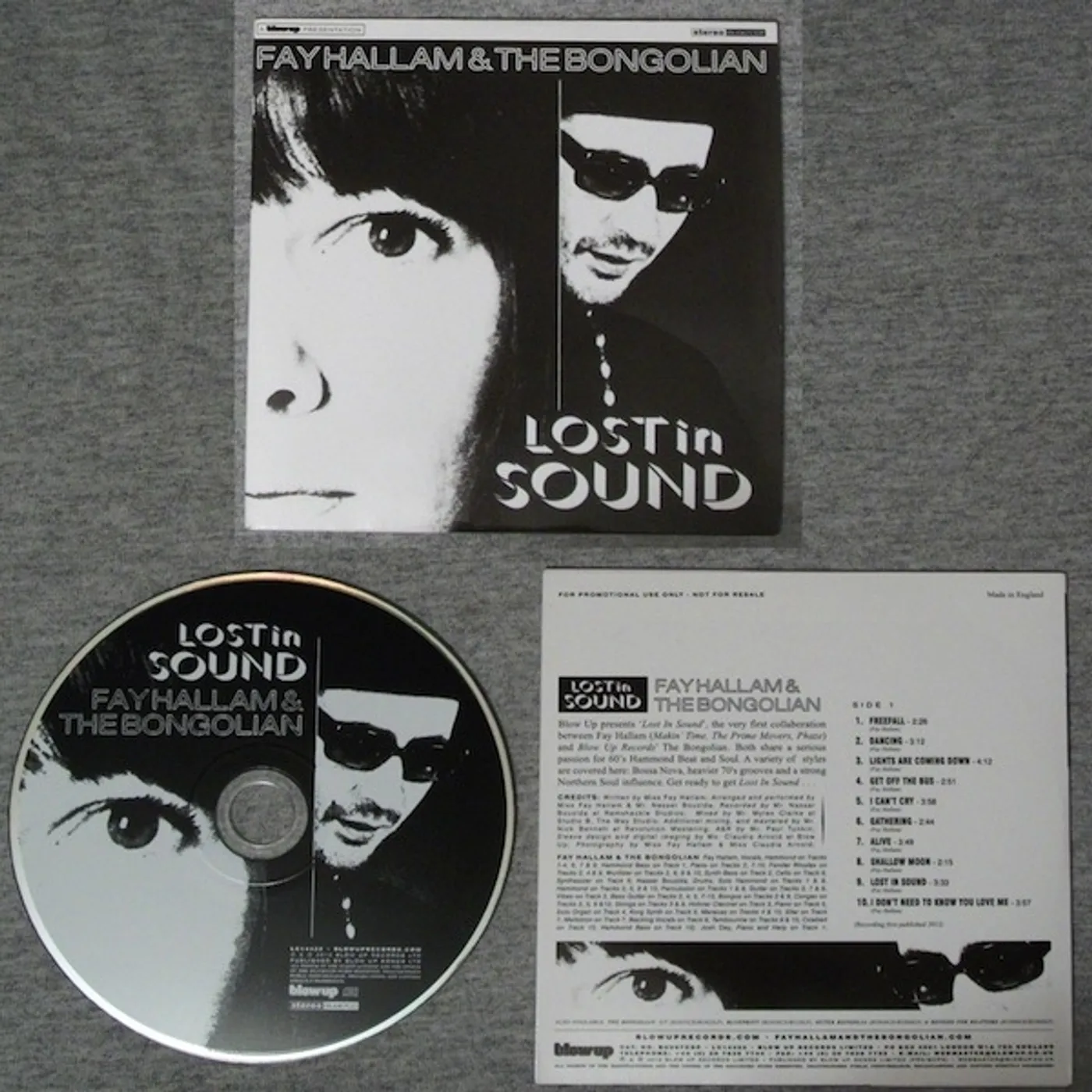 Fay Hallam Lost In Sound Vinyl Record