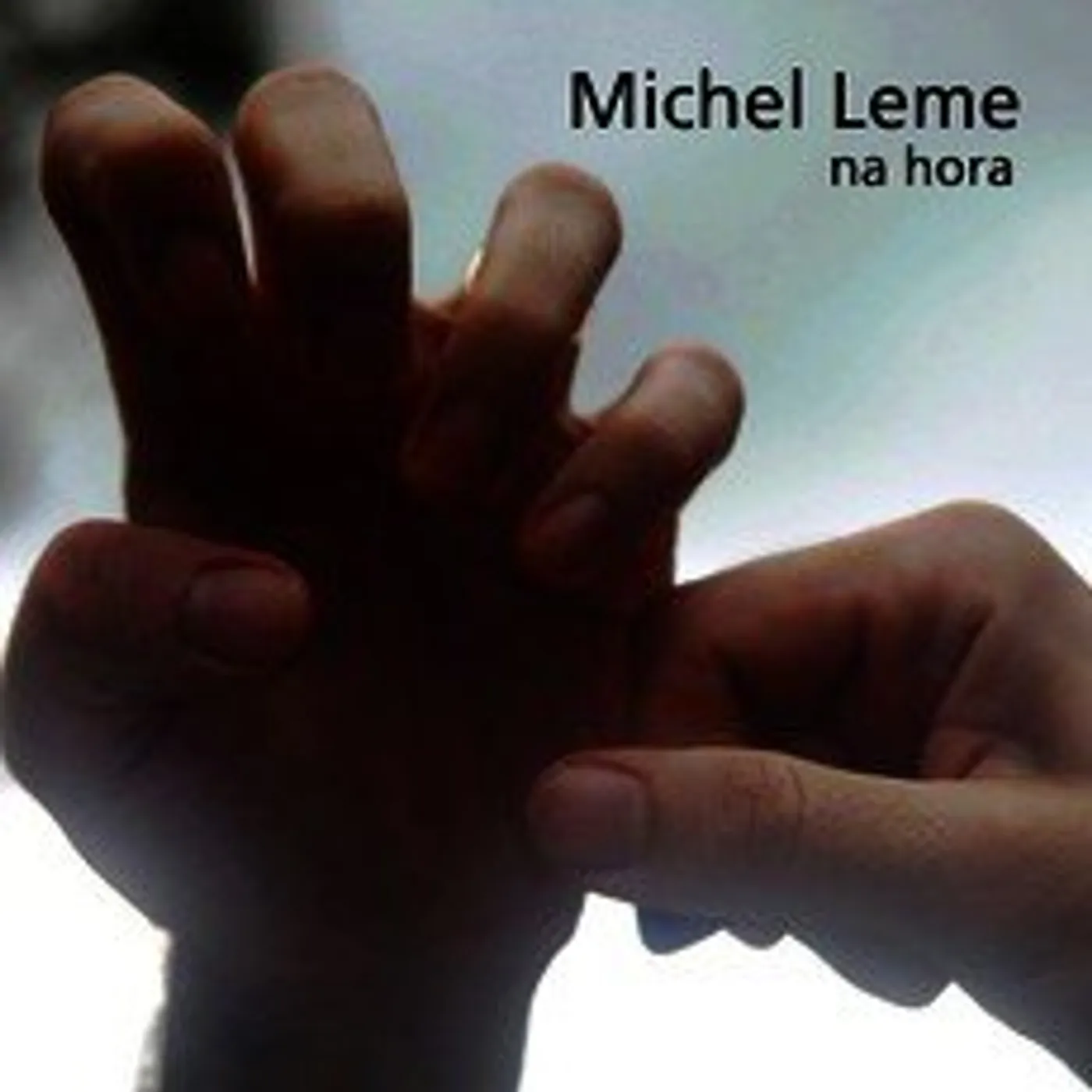 Michel Leme NA HORA CD