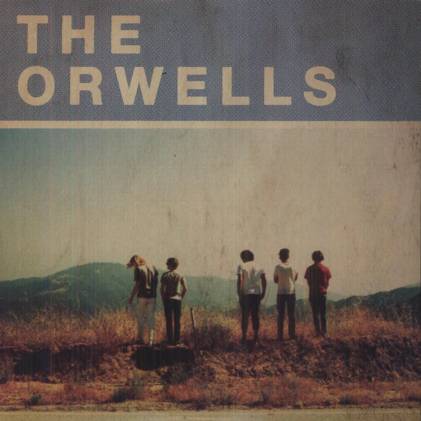 The Orwells OTHER VOICES (EP) Vinyl Record