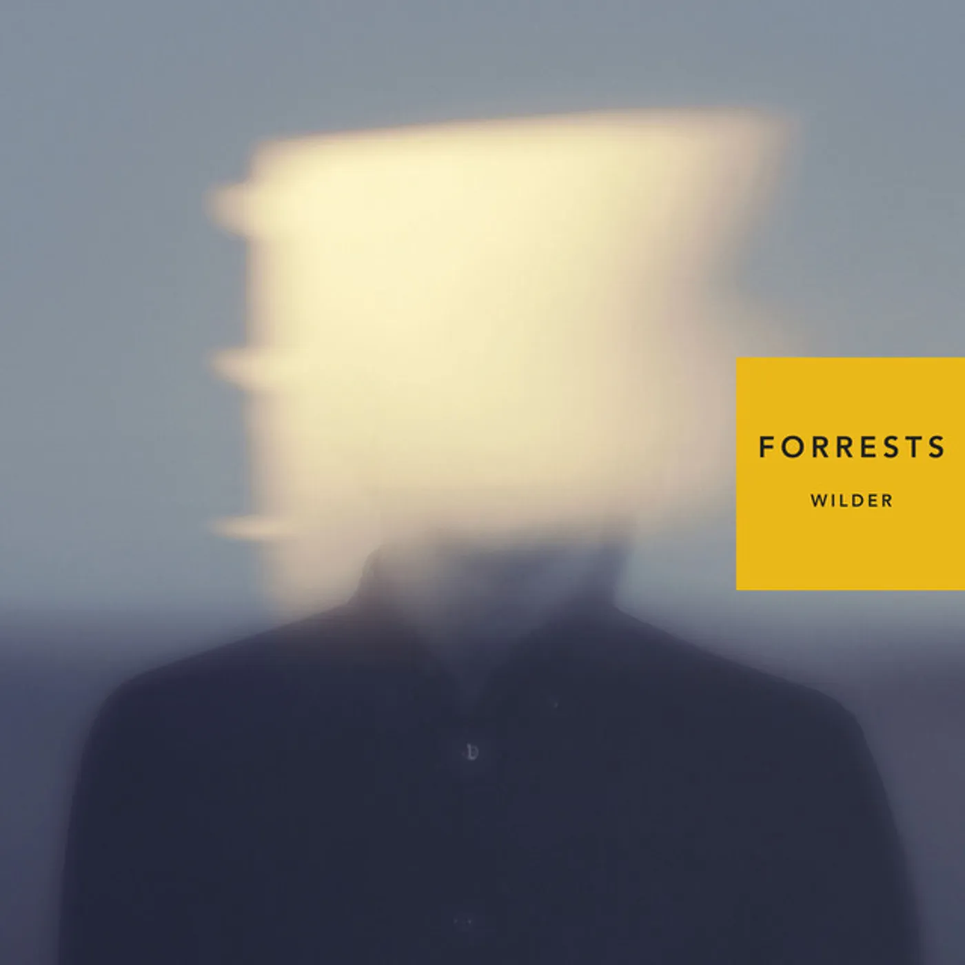 Forrests Wilder Vinyl Record