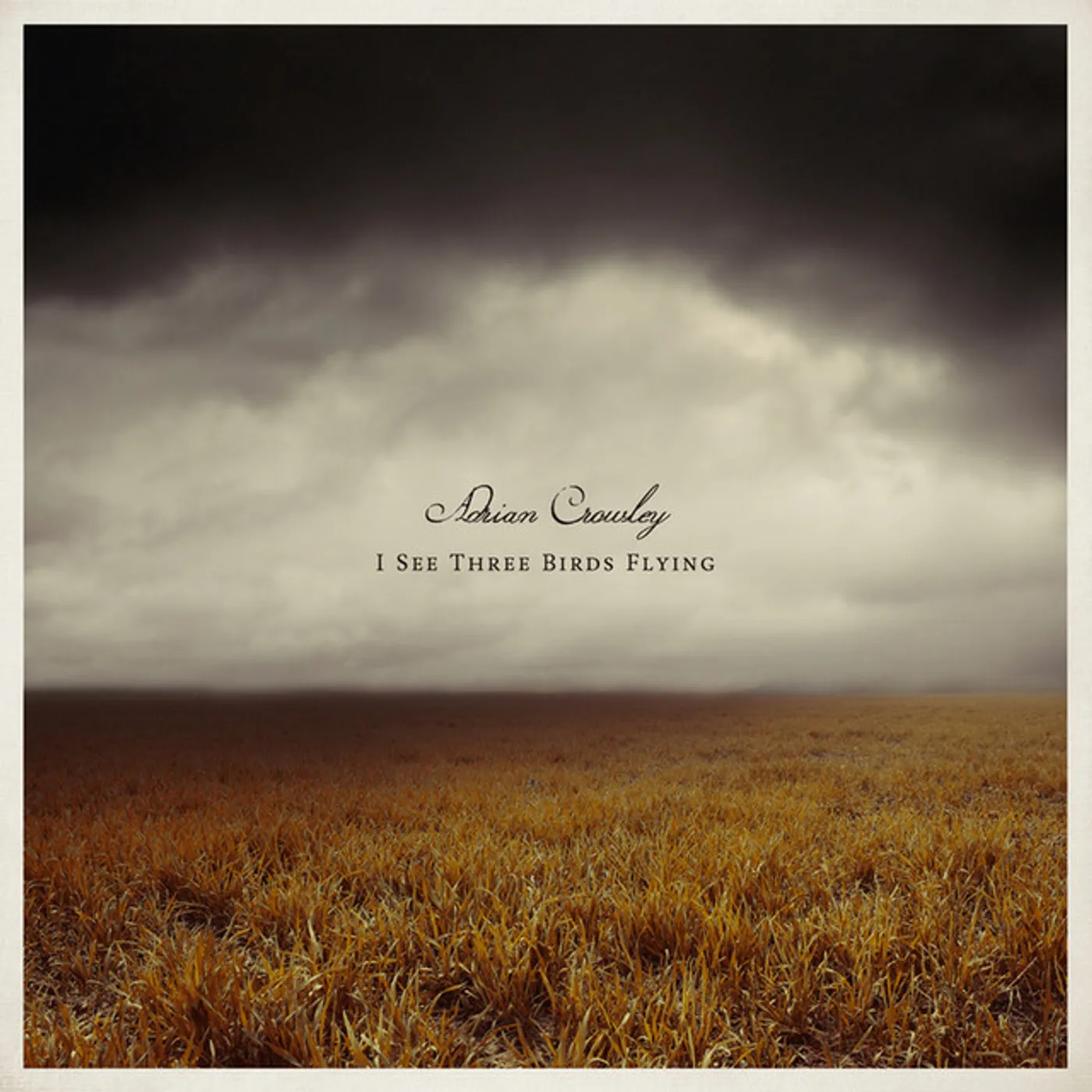 Adrian Crowley I SEE THREE BIRDS FLYING CD