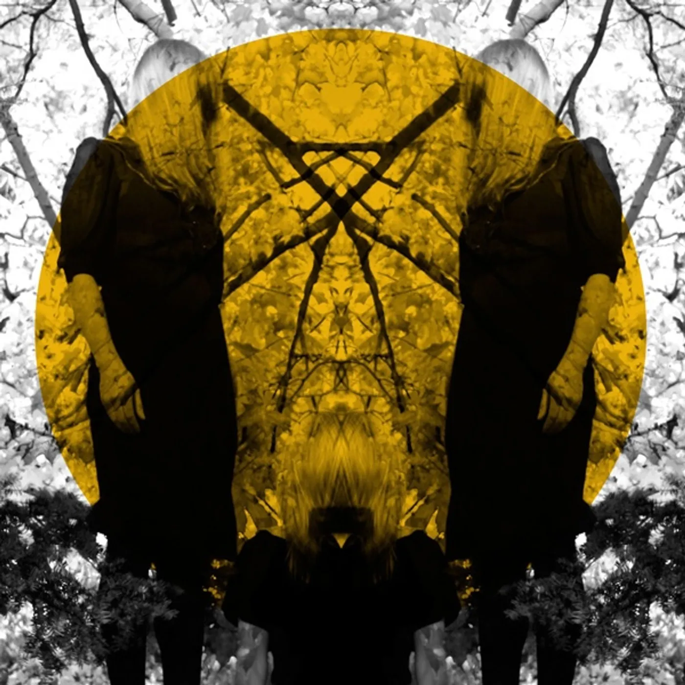 Austra FEEL IT BREAK (Vinyl)