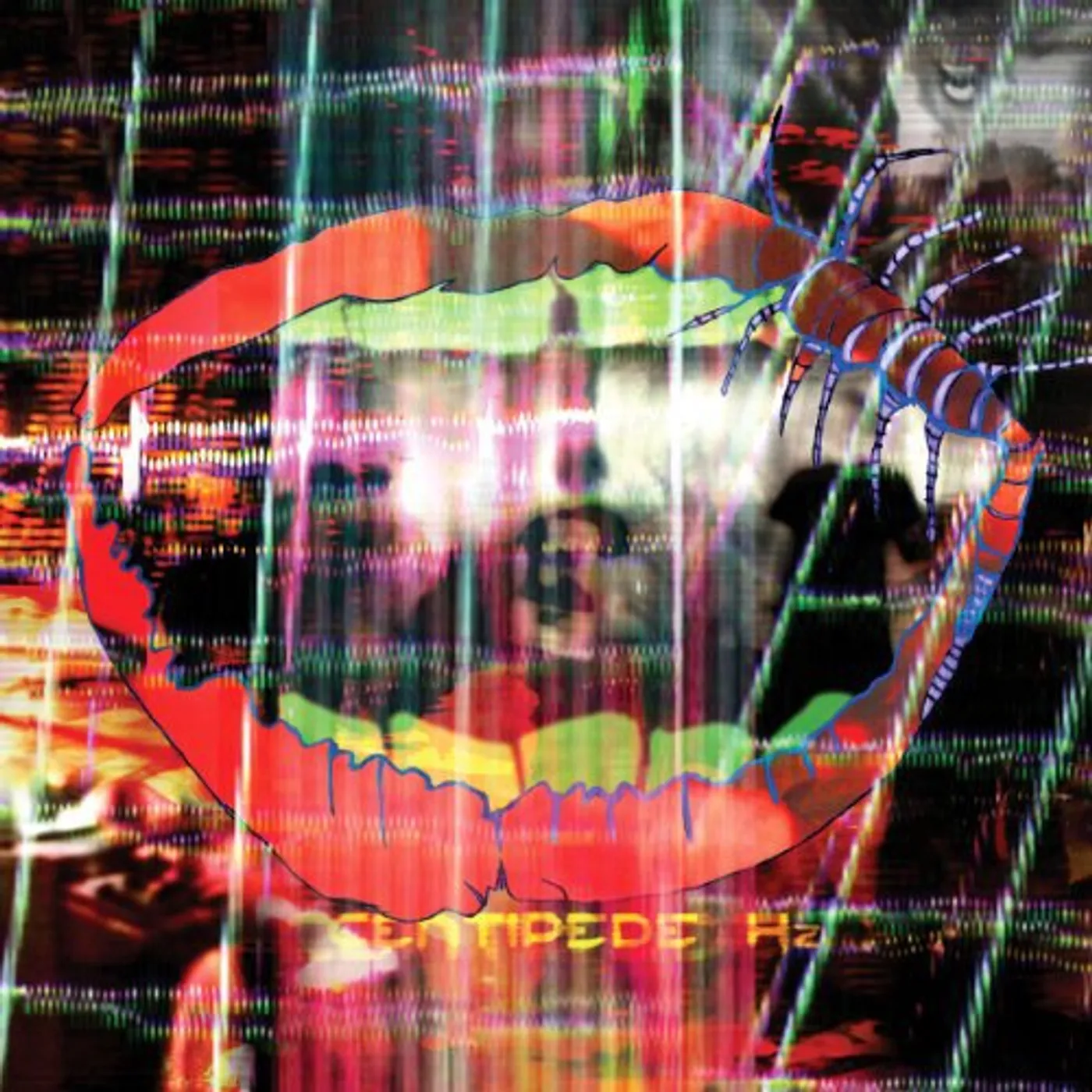Animal Collective Centipede Hz Vinyl Record