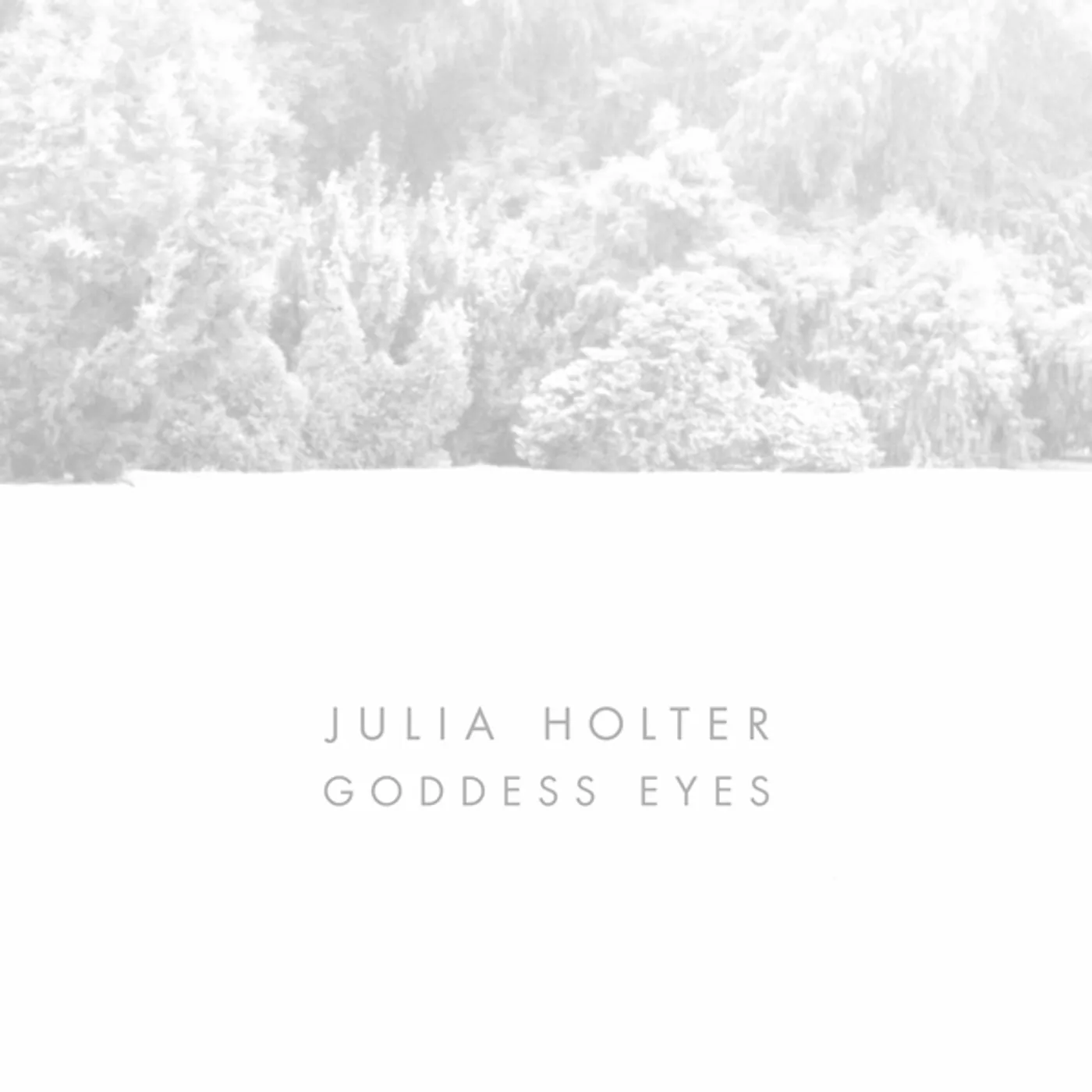 Julia Holter Goddess Eyes Vinyl Record