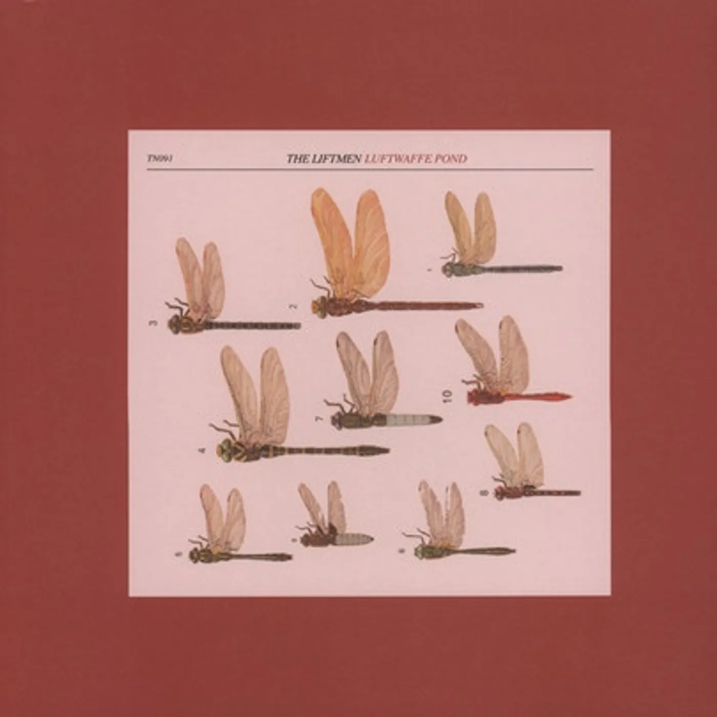 Liftmen Luftwaffe Pond Vinyl Record