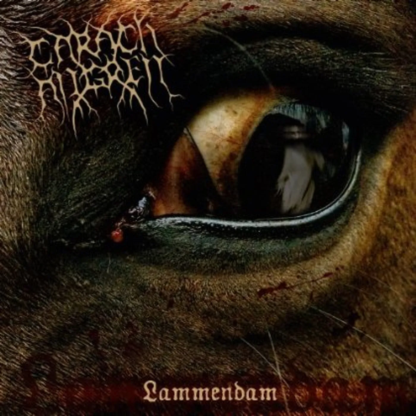 Carach Angren Lammendam Vinyl Record