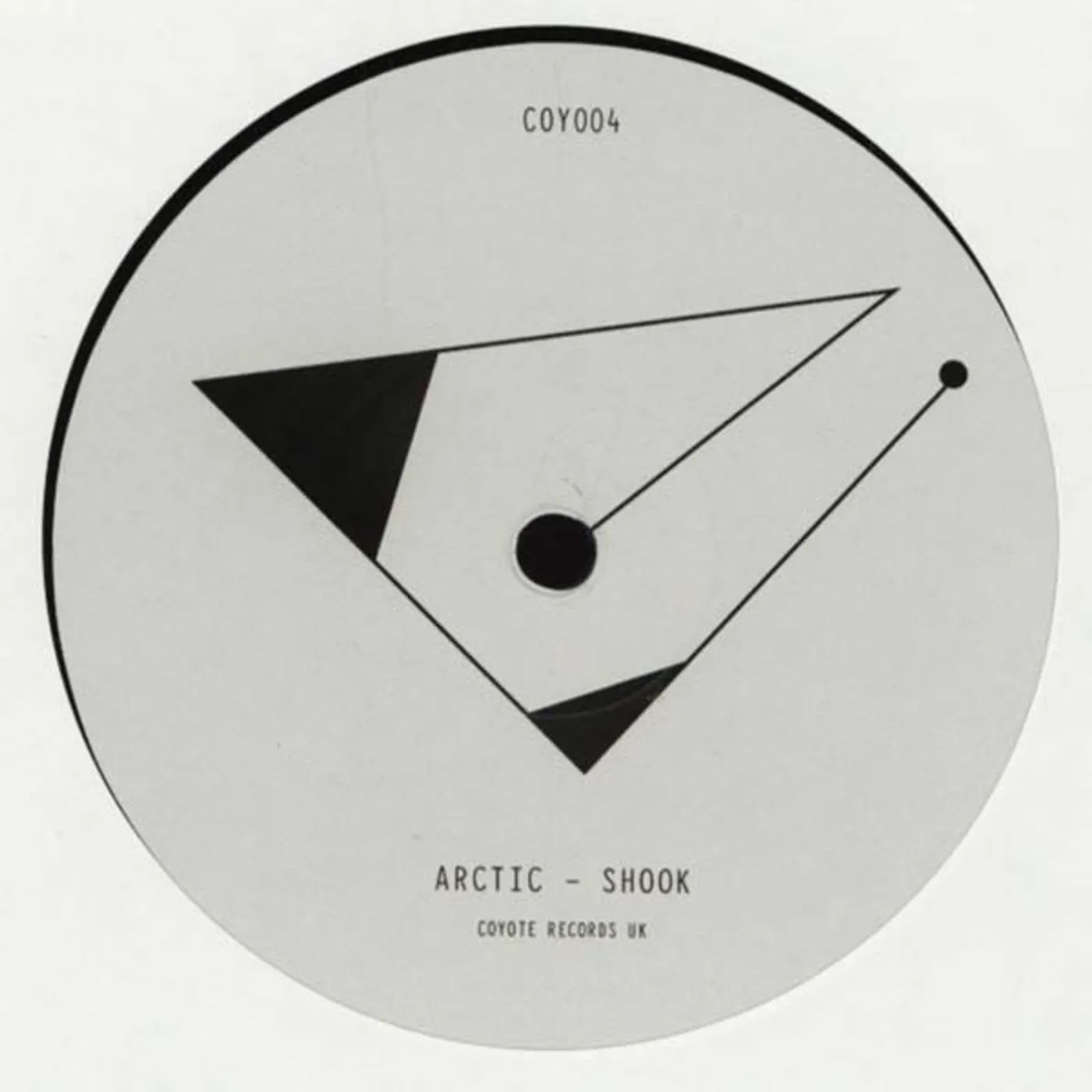 Arctic Shook Vinyl Record