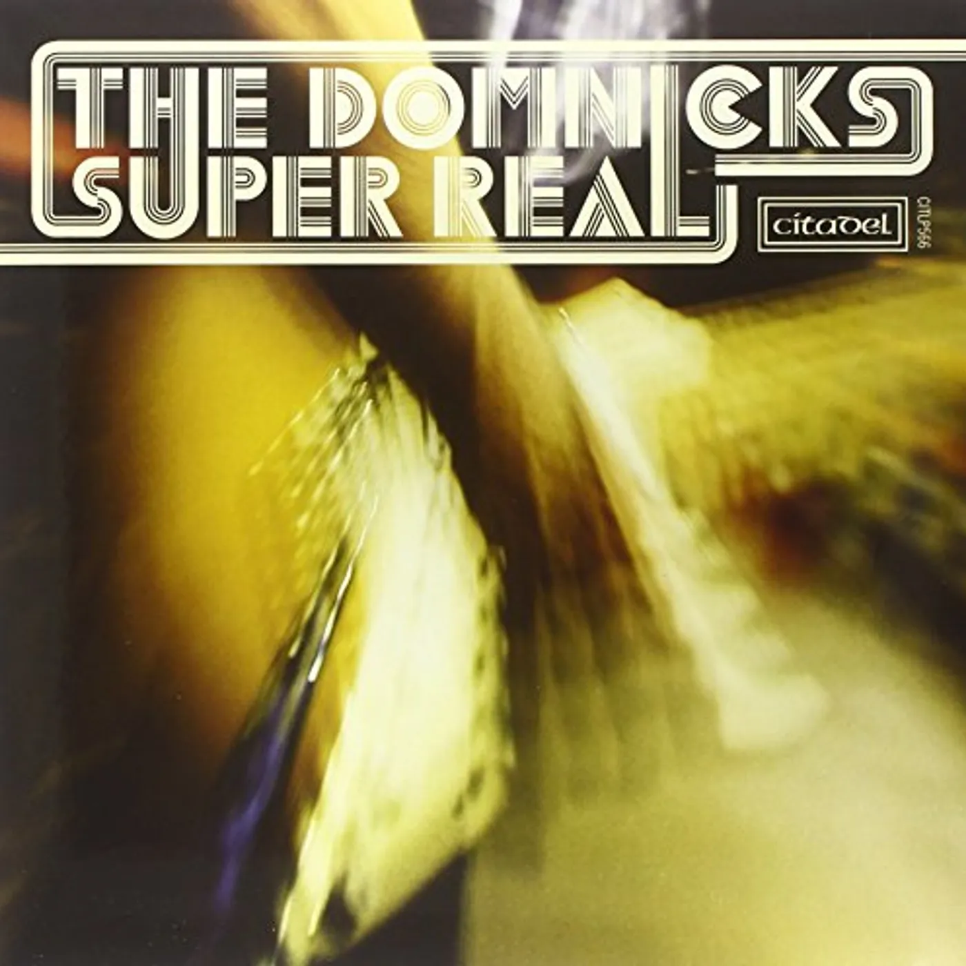 The Domnicks Super Real Vinyl Record
