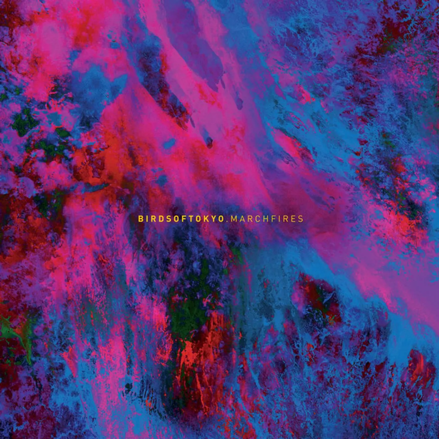Birds Of Tokyo March Fires Vinyl Record