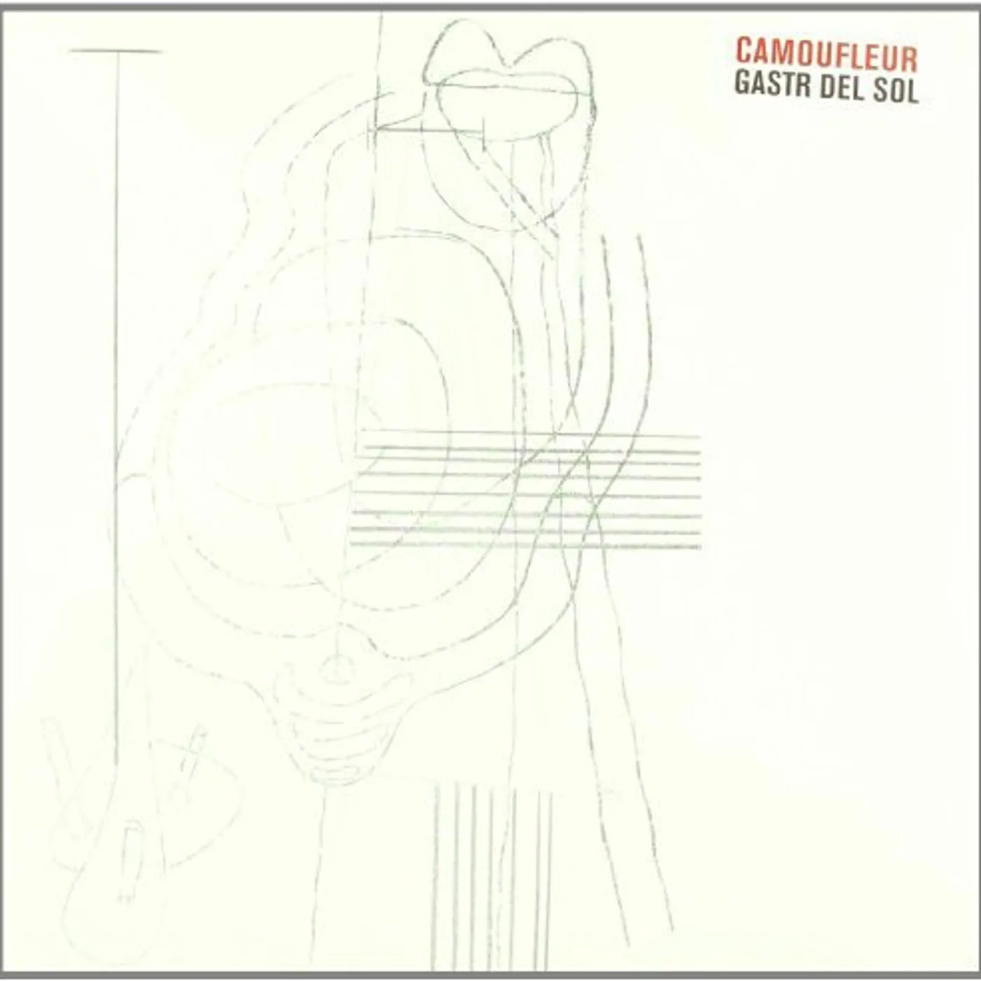 Gastr Del Sol CAMOFLEUR Vinyl Record