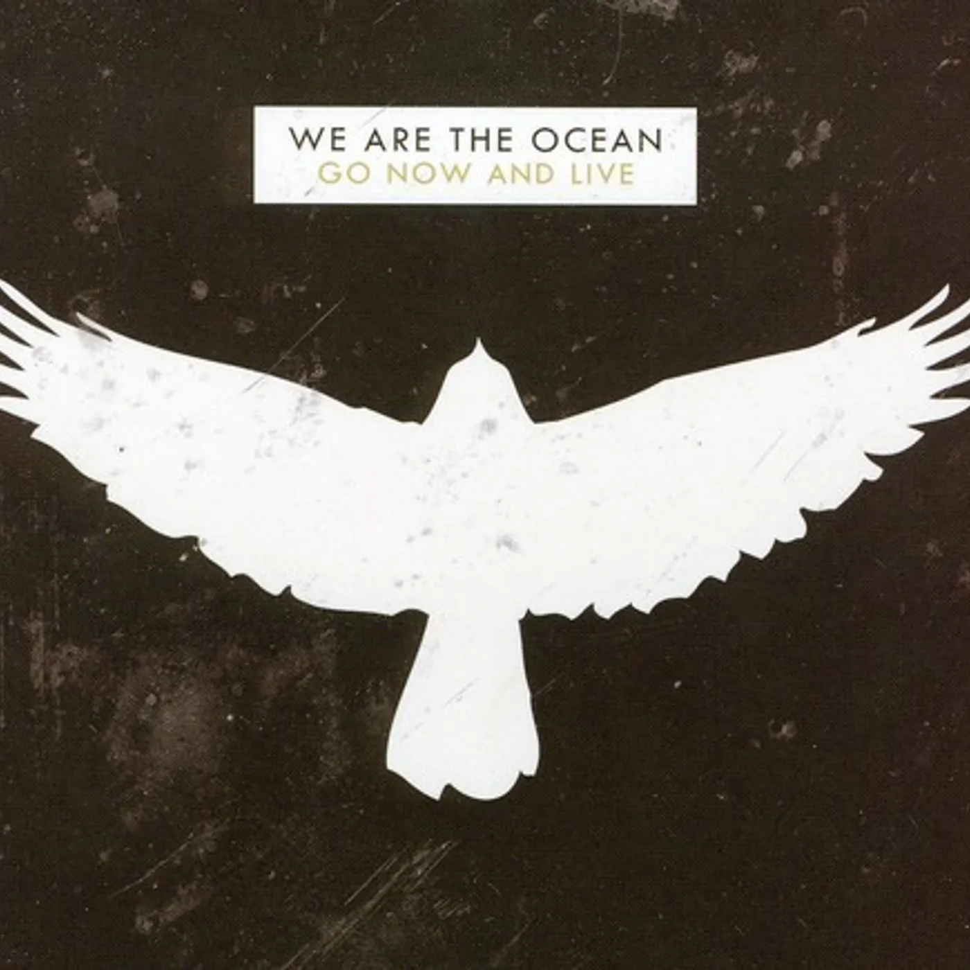 We Are The Ocean GO NOW & LIVE CD