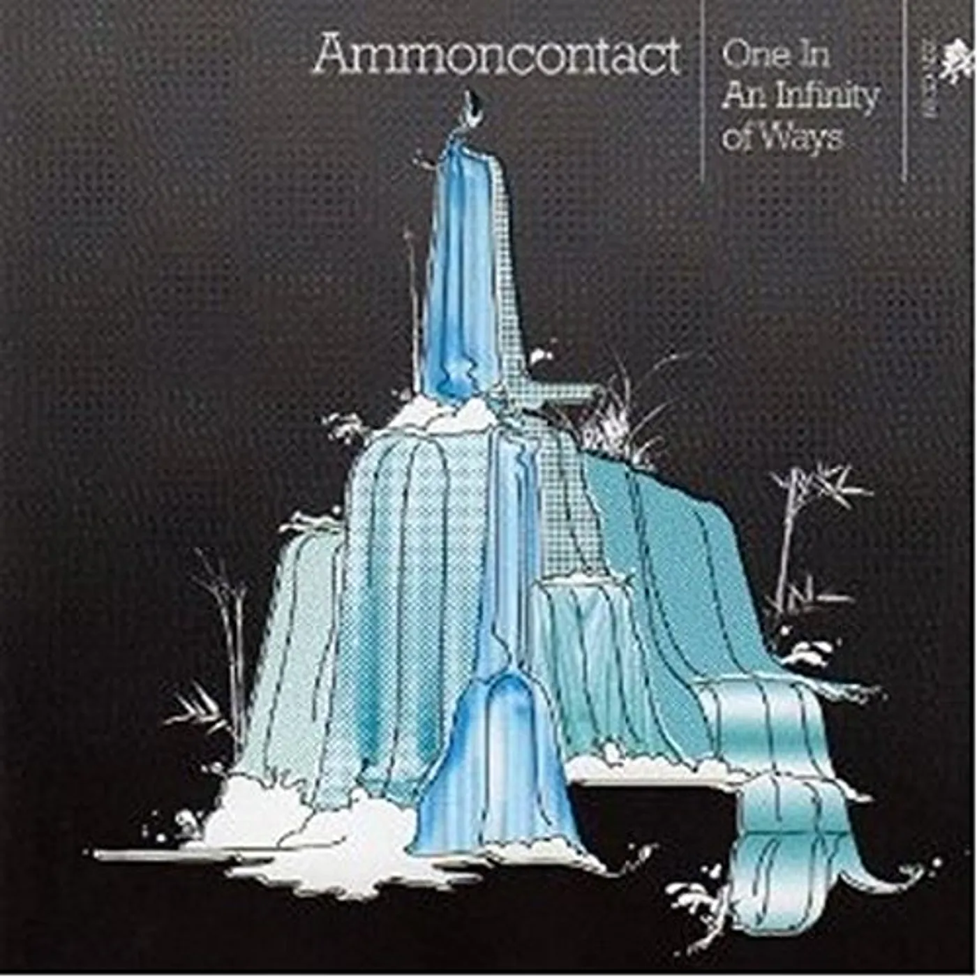 Ammoncontact I IN AN INFINITY OF WAYS Vinyl Record