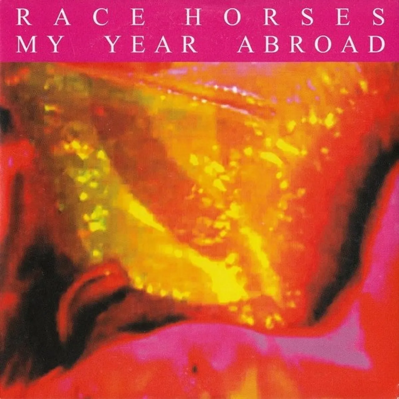 Race Horses My Year Abroad Vinyl Record